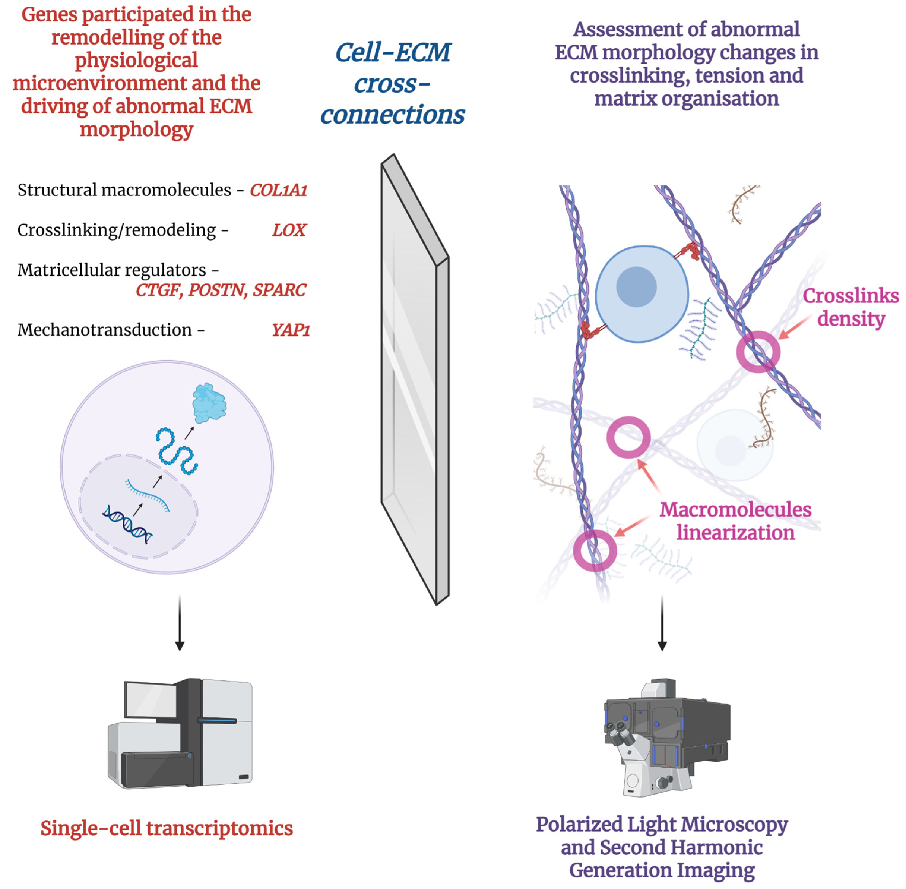 Ijms 26 11882 g002 Ijms 26 11882 g002