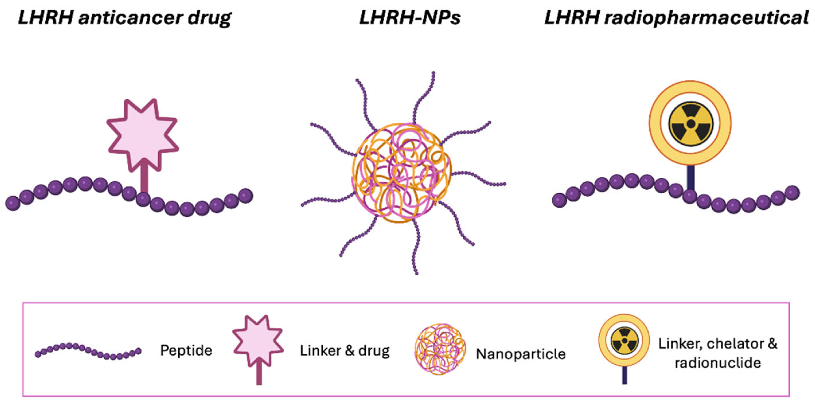 Ijms 26 11884 g001 Ijms 26 11884 g001