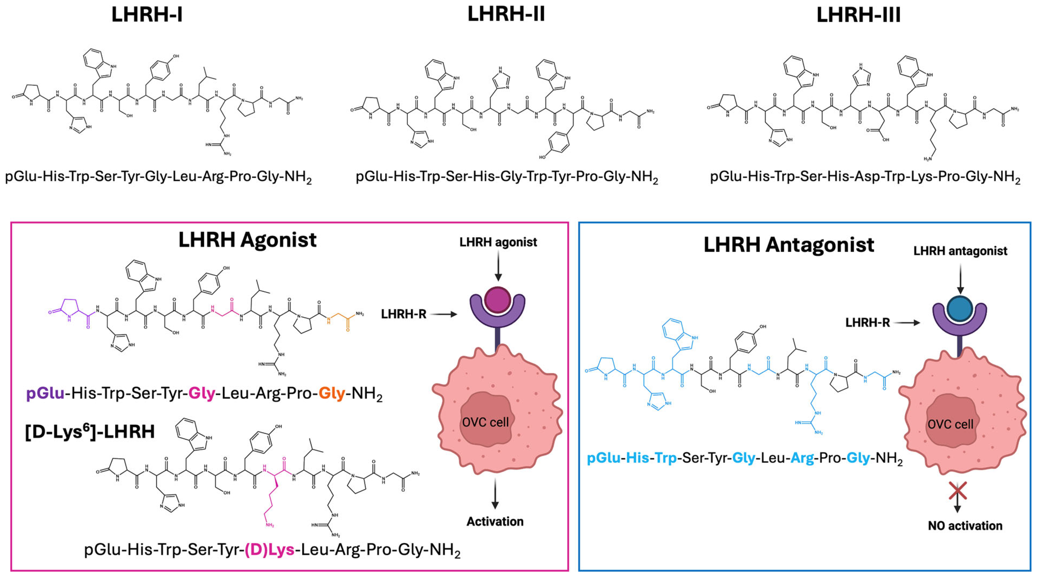 Ijms 26 11884 g002 Ijms 26 11884 g002