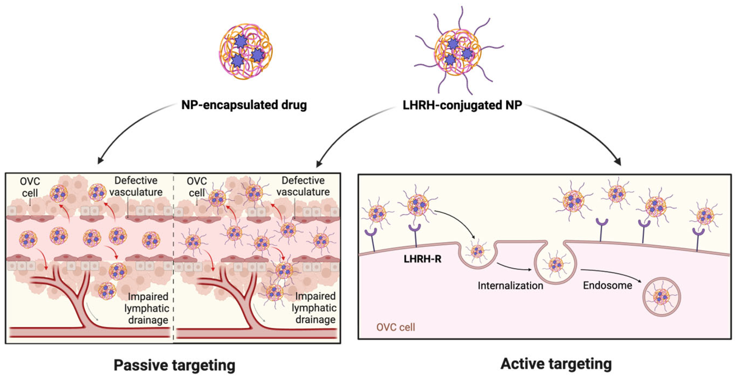 Ijms 26 11884 g006 Ijms 26 11884 g006