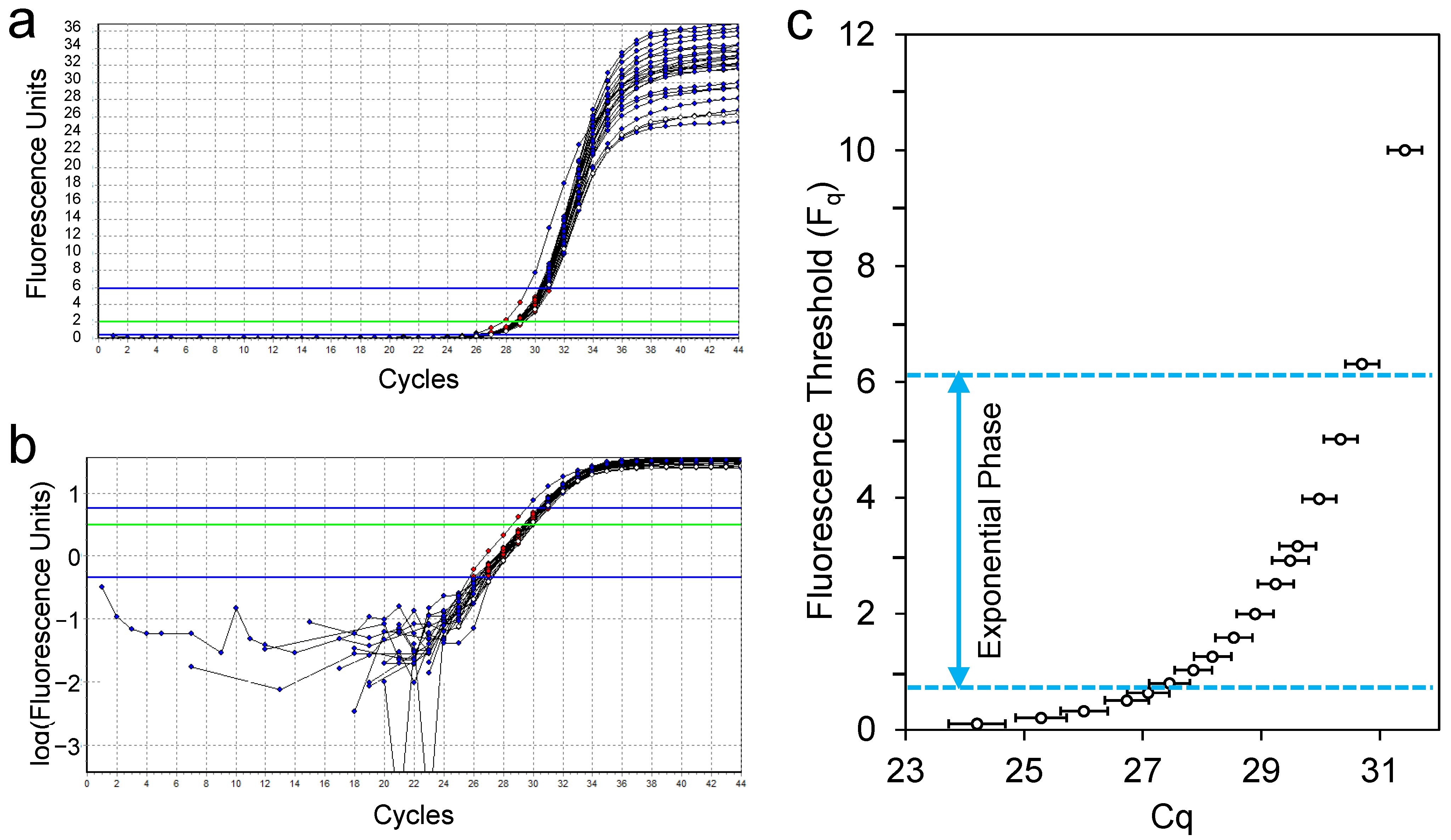Ijms 26 11885 g001 Ijms 26 11885 g001