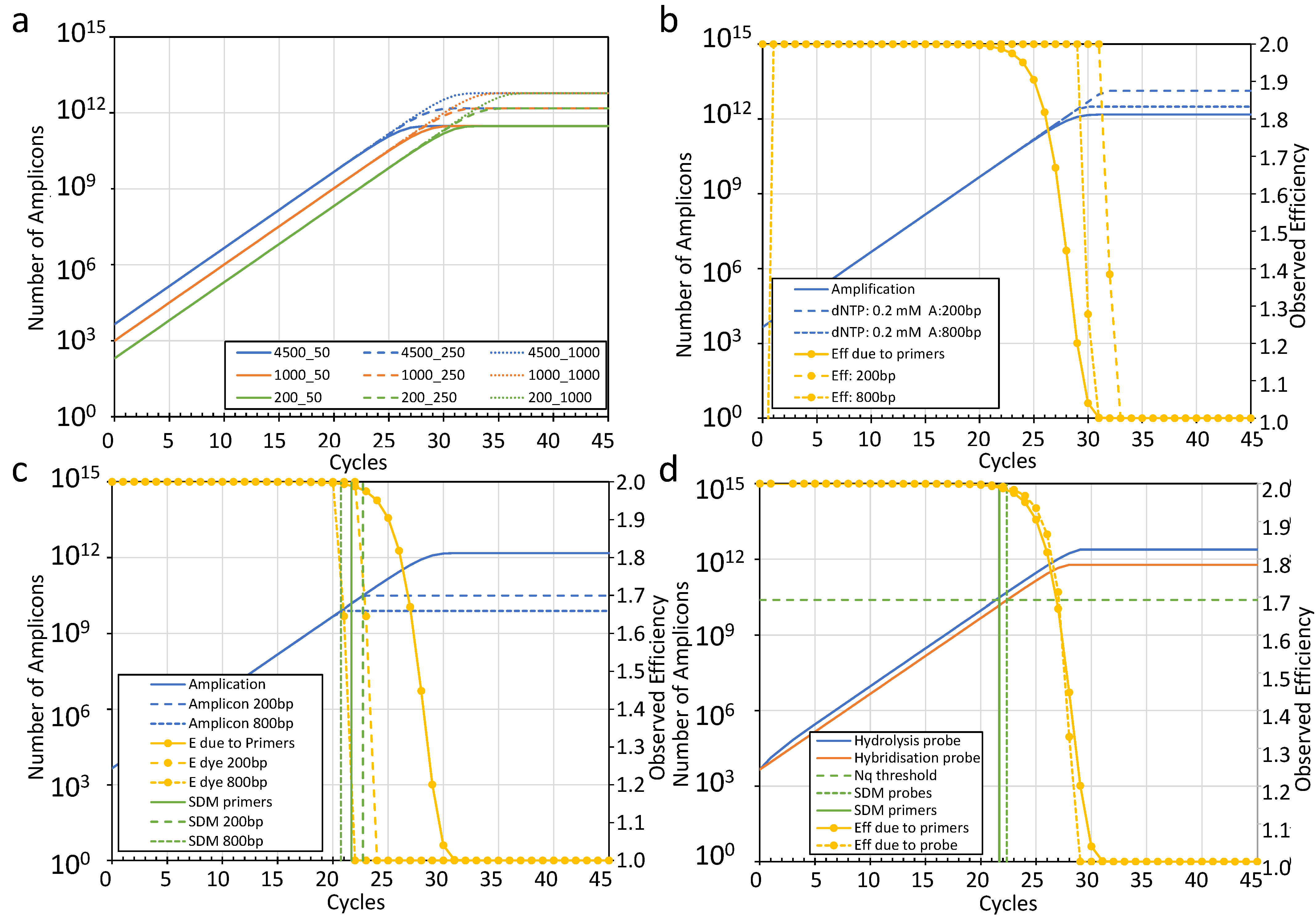 Ijms 26 11885 g003 Ijms 26 11885 g003