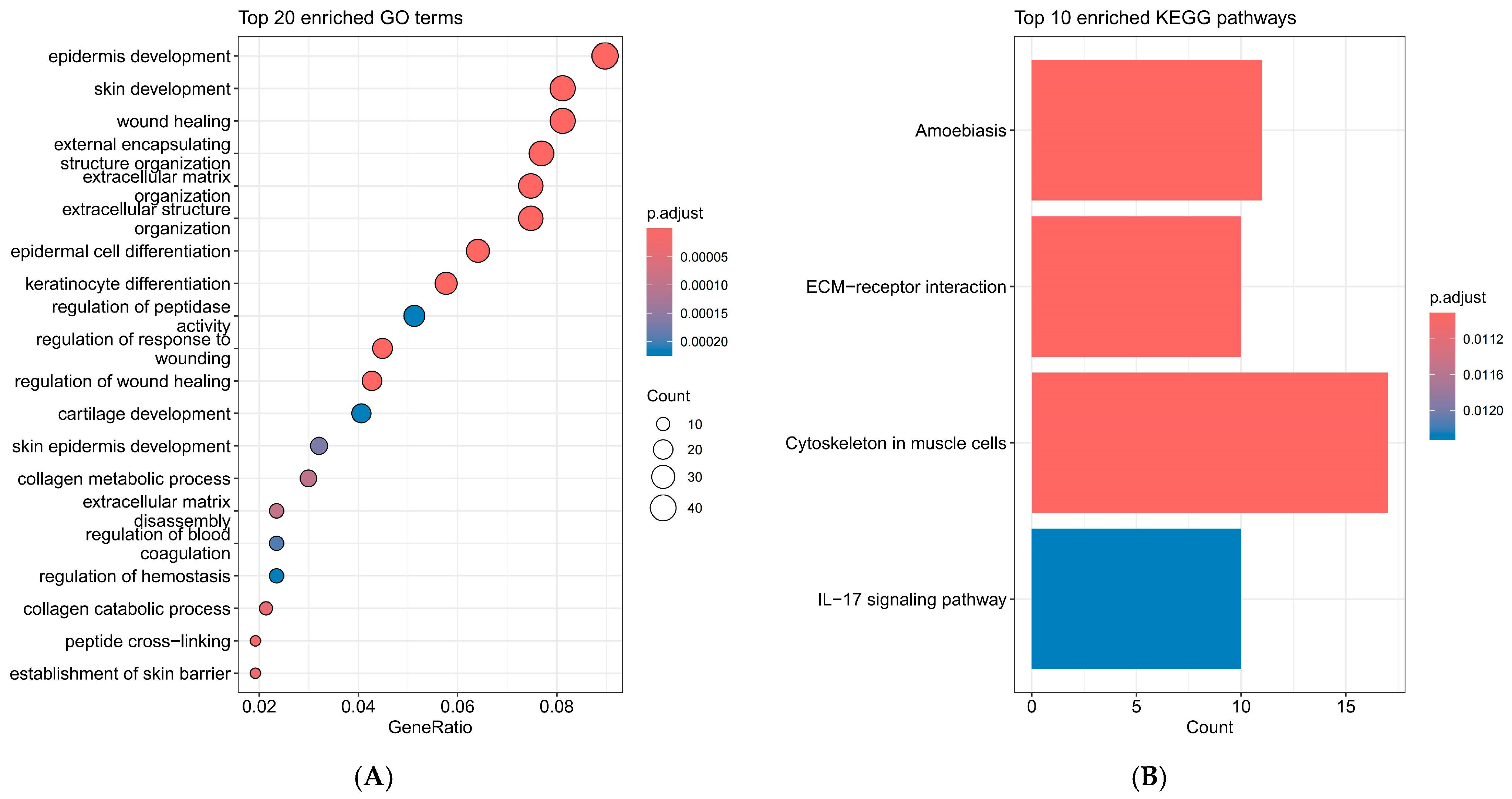 Ijms 26 11890 g002 Ijms 26 11890 g002