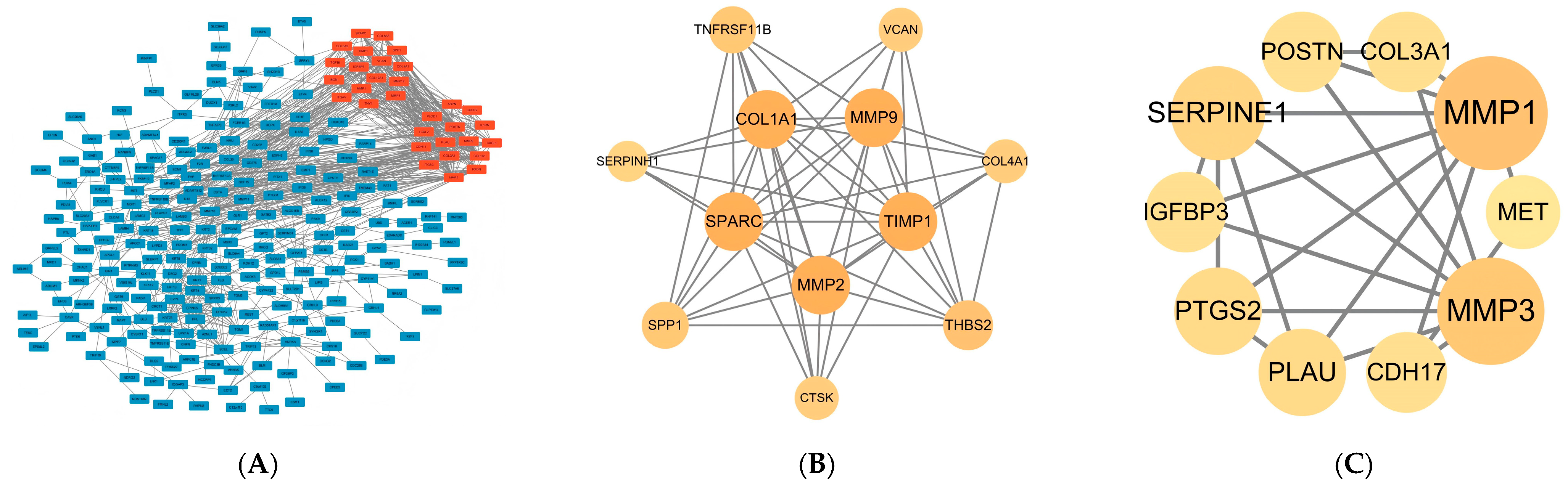 Ijms 26 11890 g003 Ijms 26 11890 g003