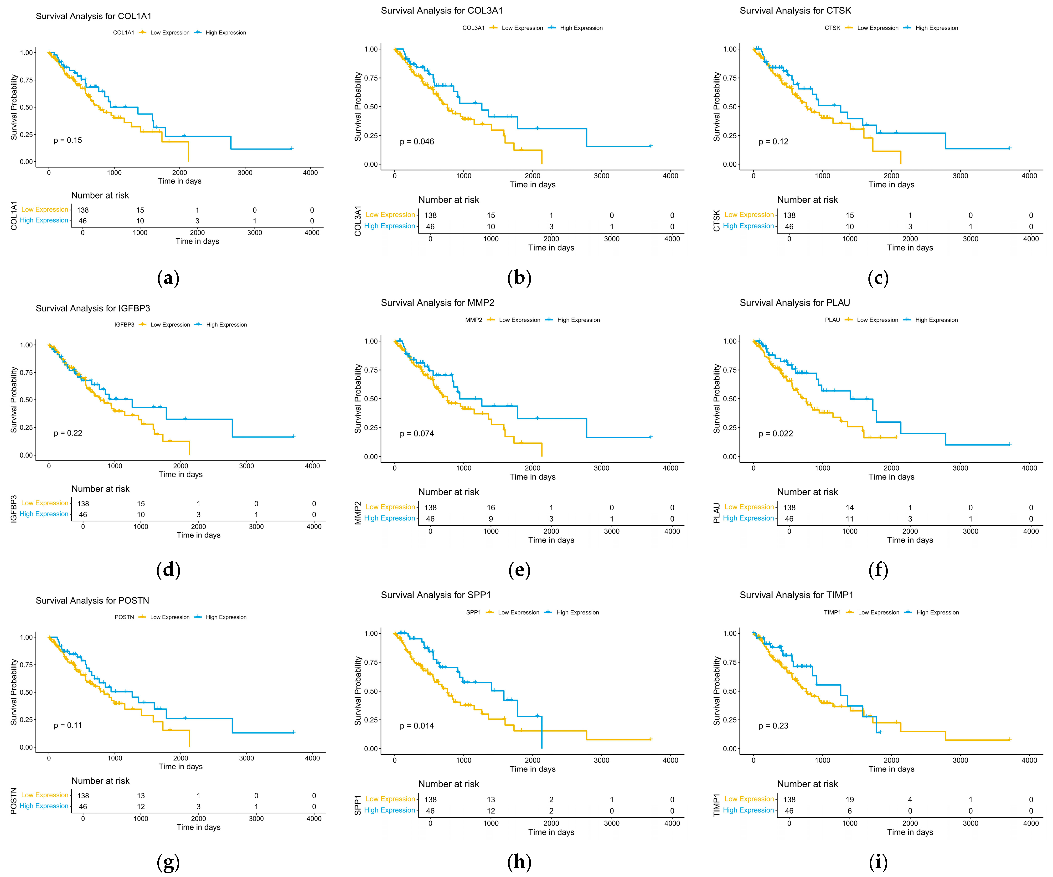Ijms 26 11890 g004 Ijms 26 11890 g004