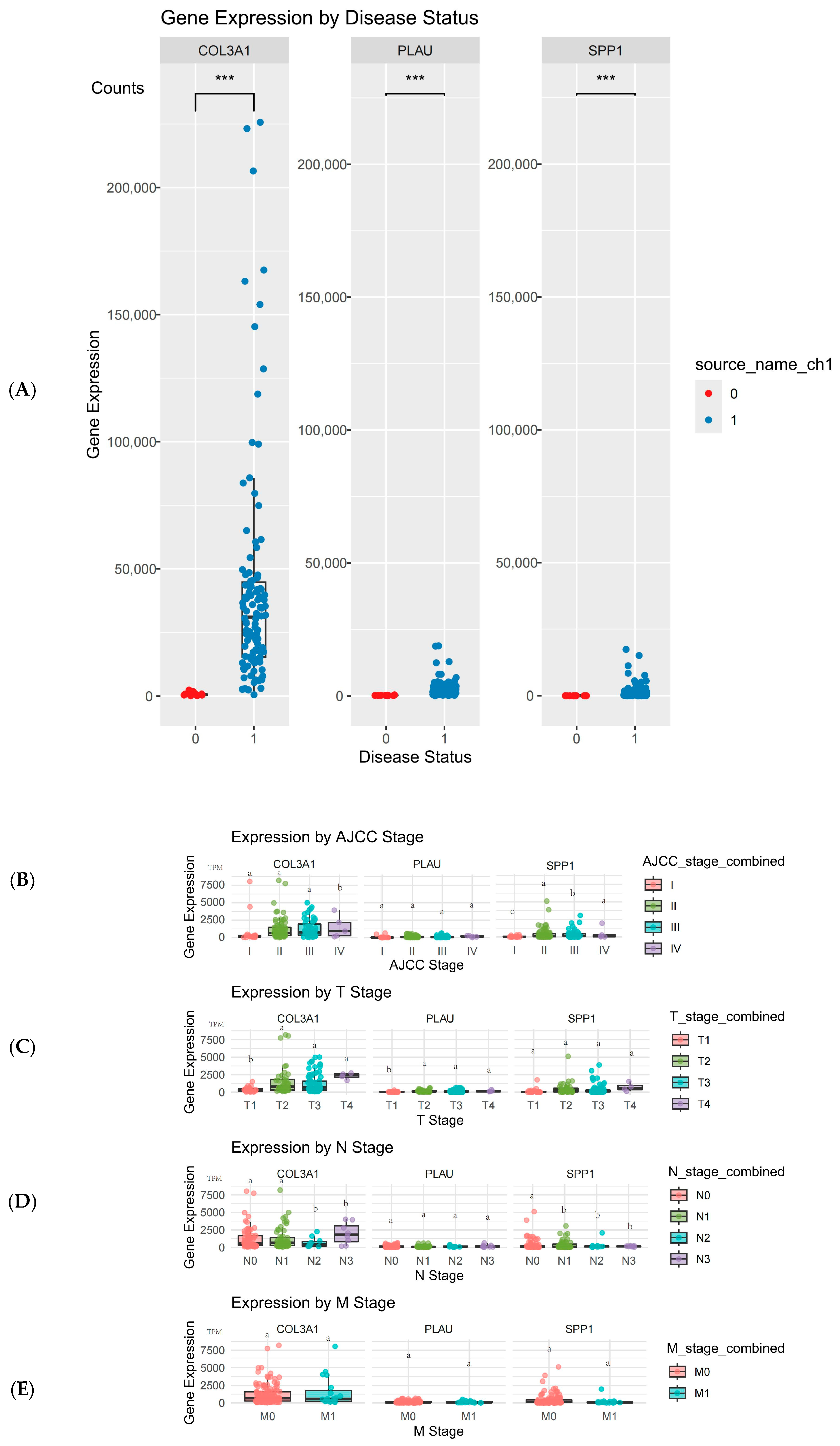 Ijms 26 11890 g005 Ijms 26 11890 g005