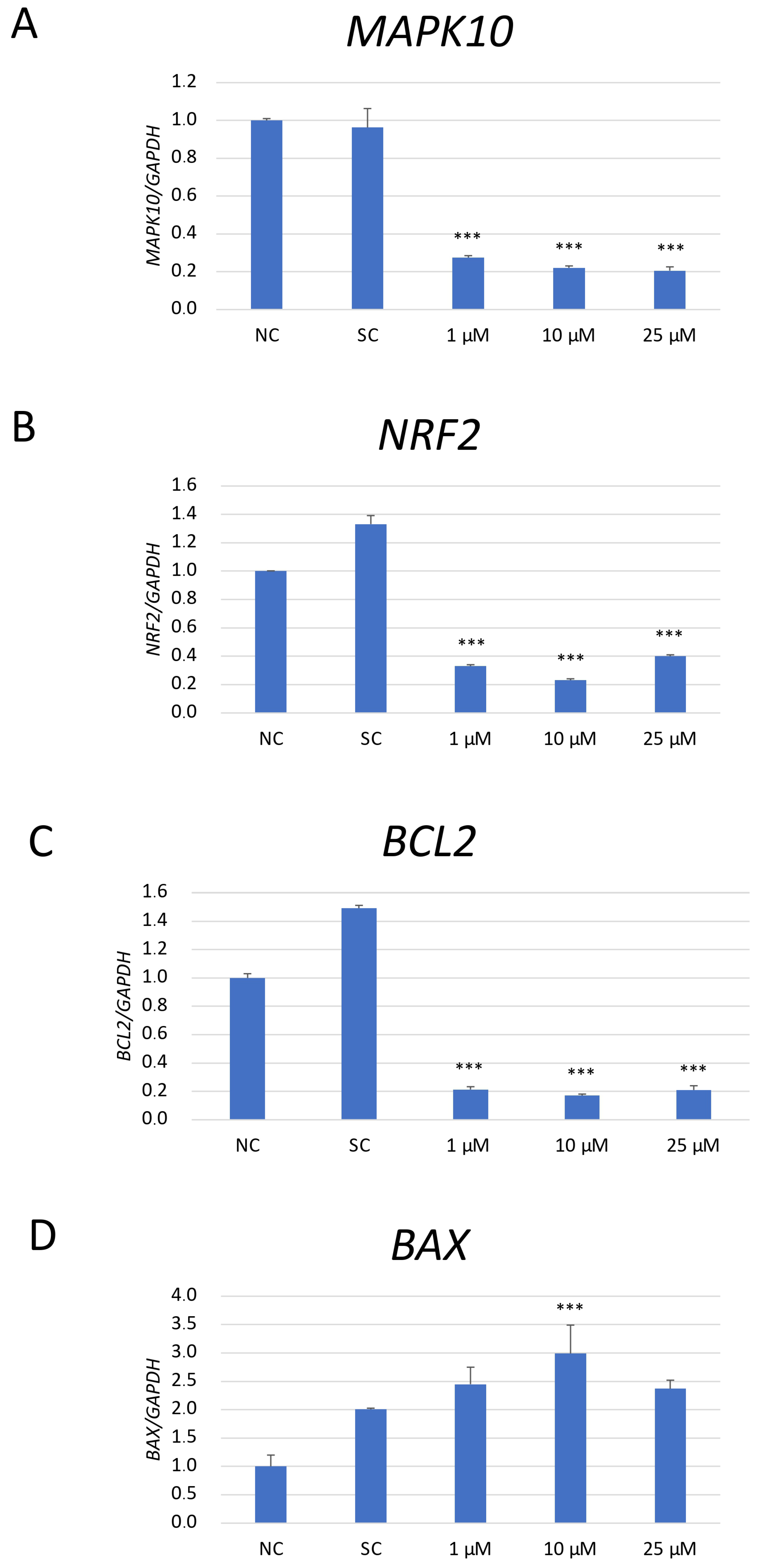 Ijms 26 11894 g006 Ijms 26 11894 g006