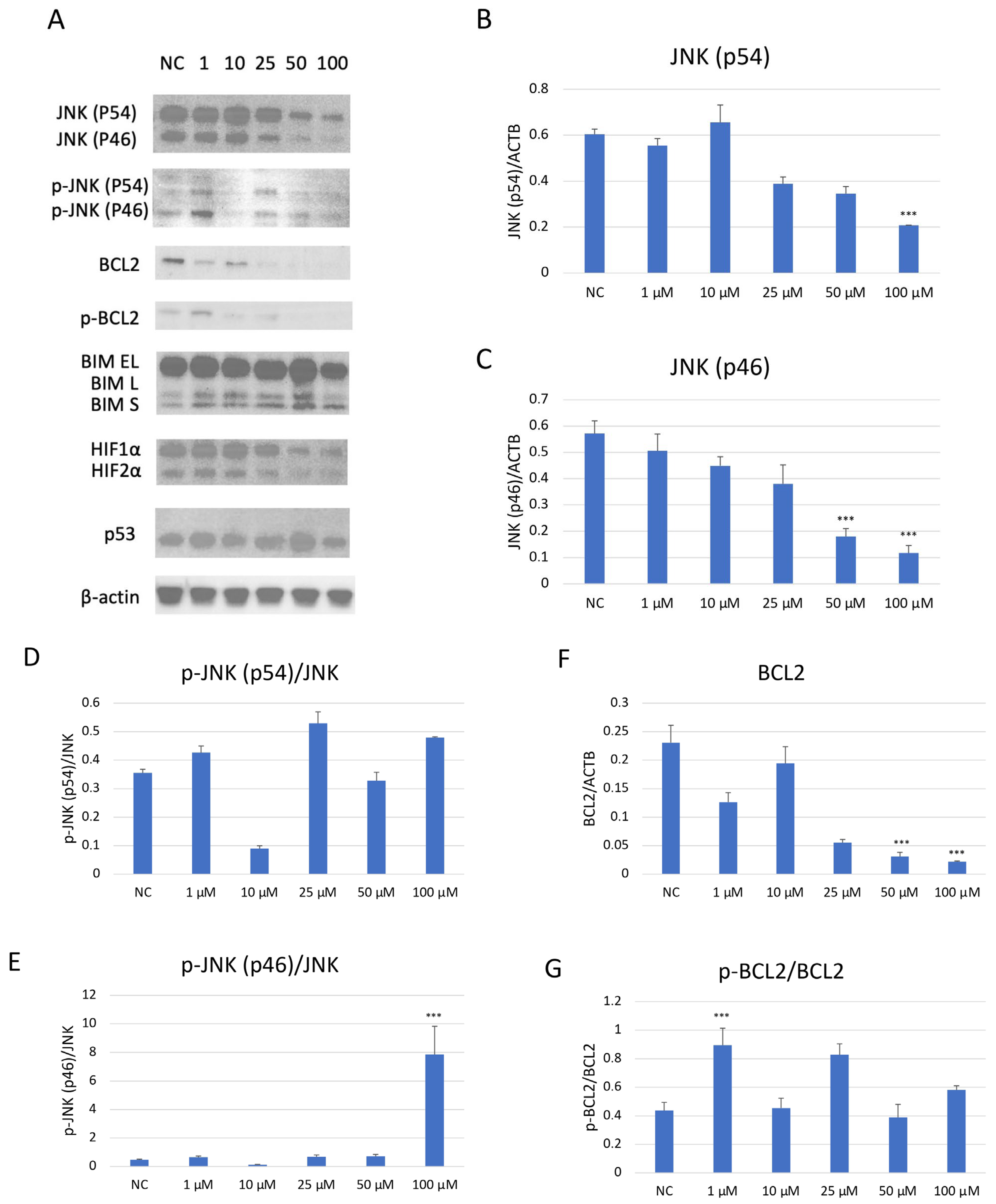 Ijms 26 11894 g007a Ijms 26 11894 g007a
