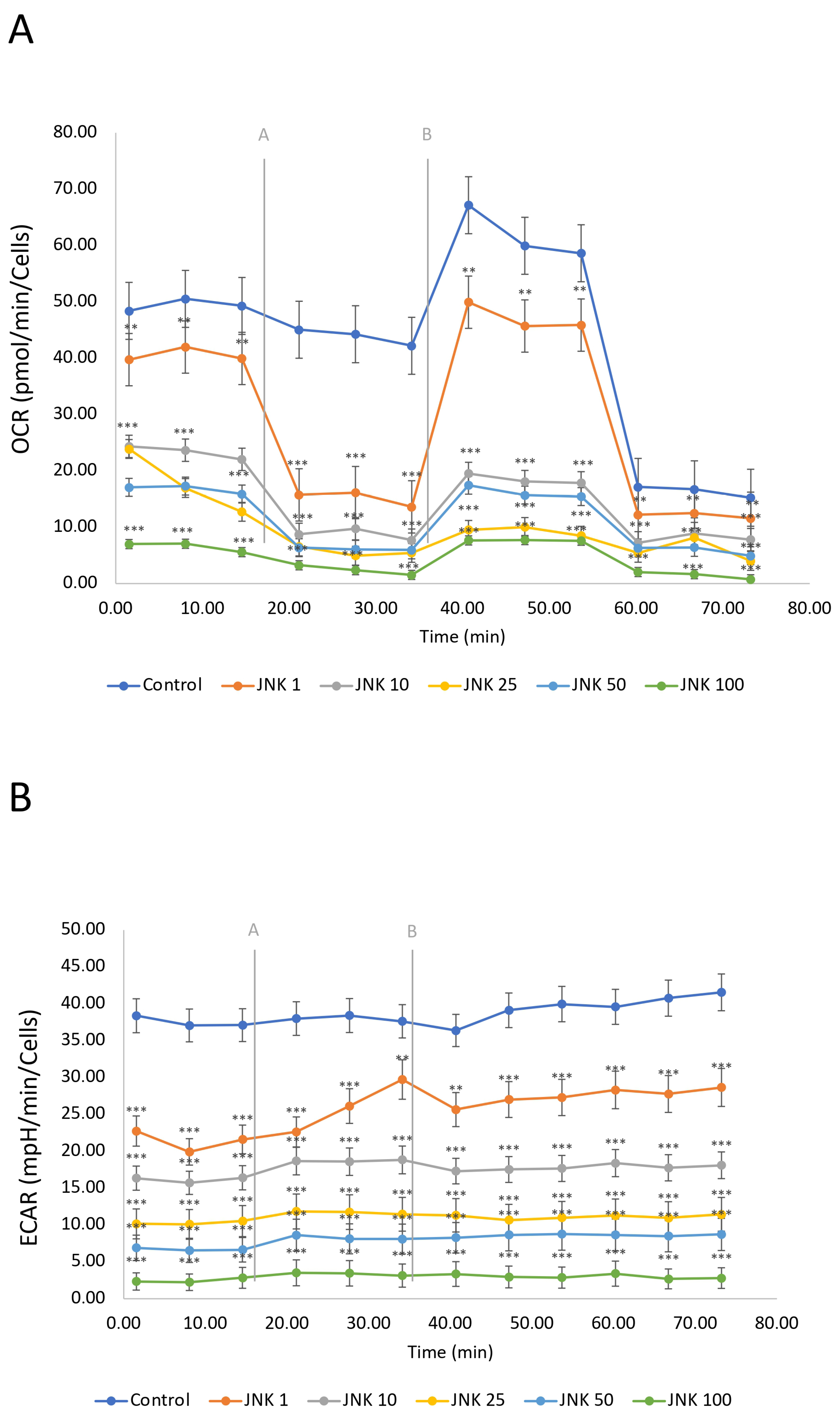 Ijms 26 11894 g008 Ijms 26 11894 g008