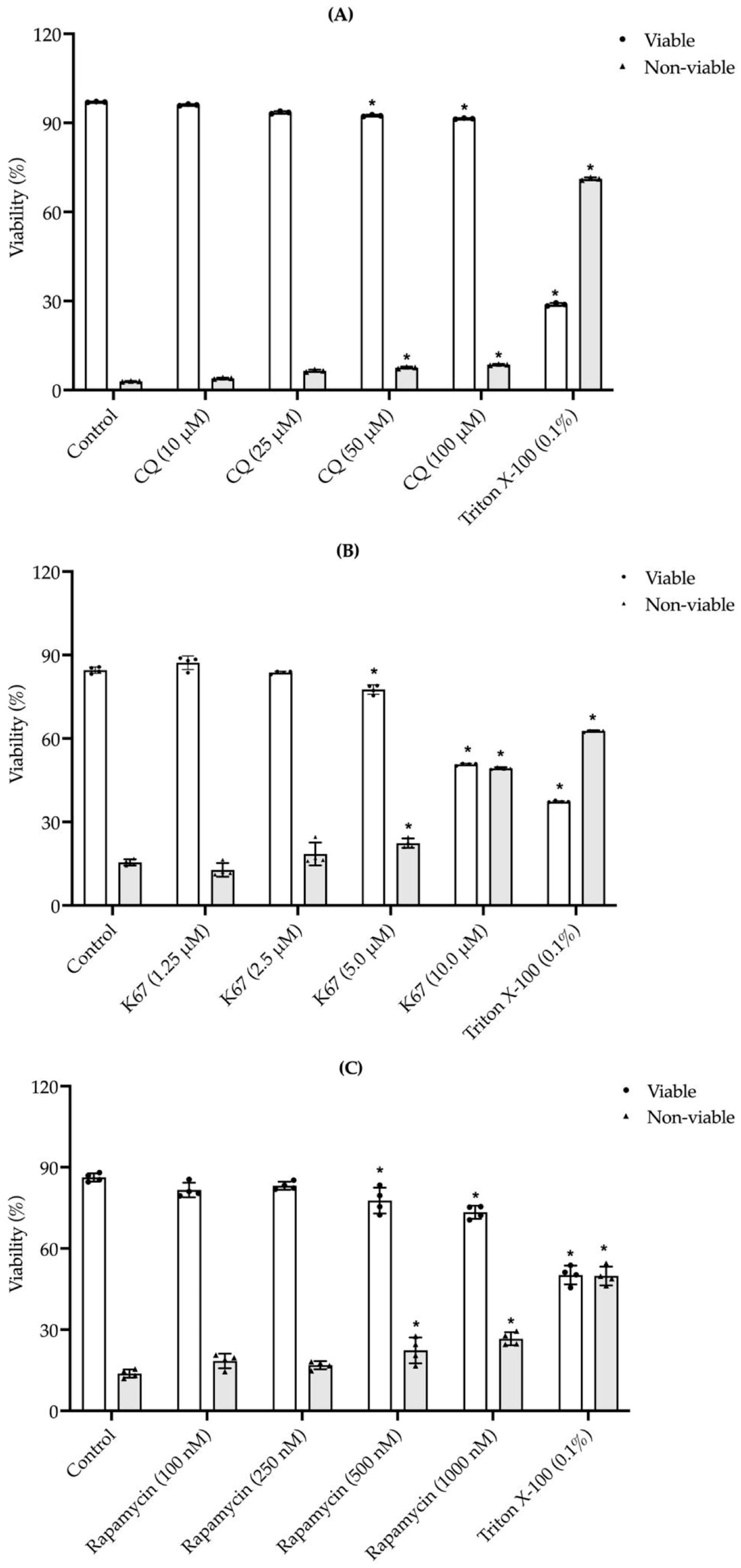Ijms 26 11895 g004 Ijms 26 11895 g004