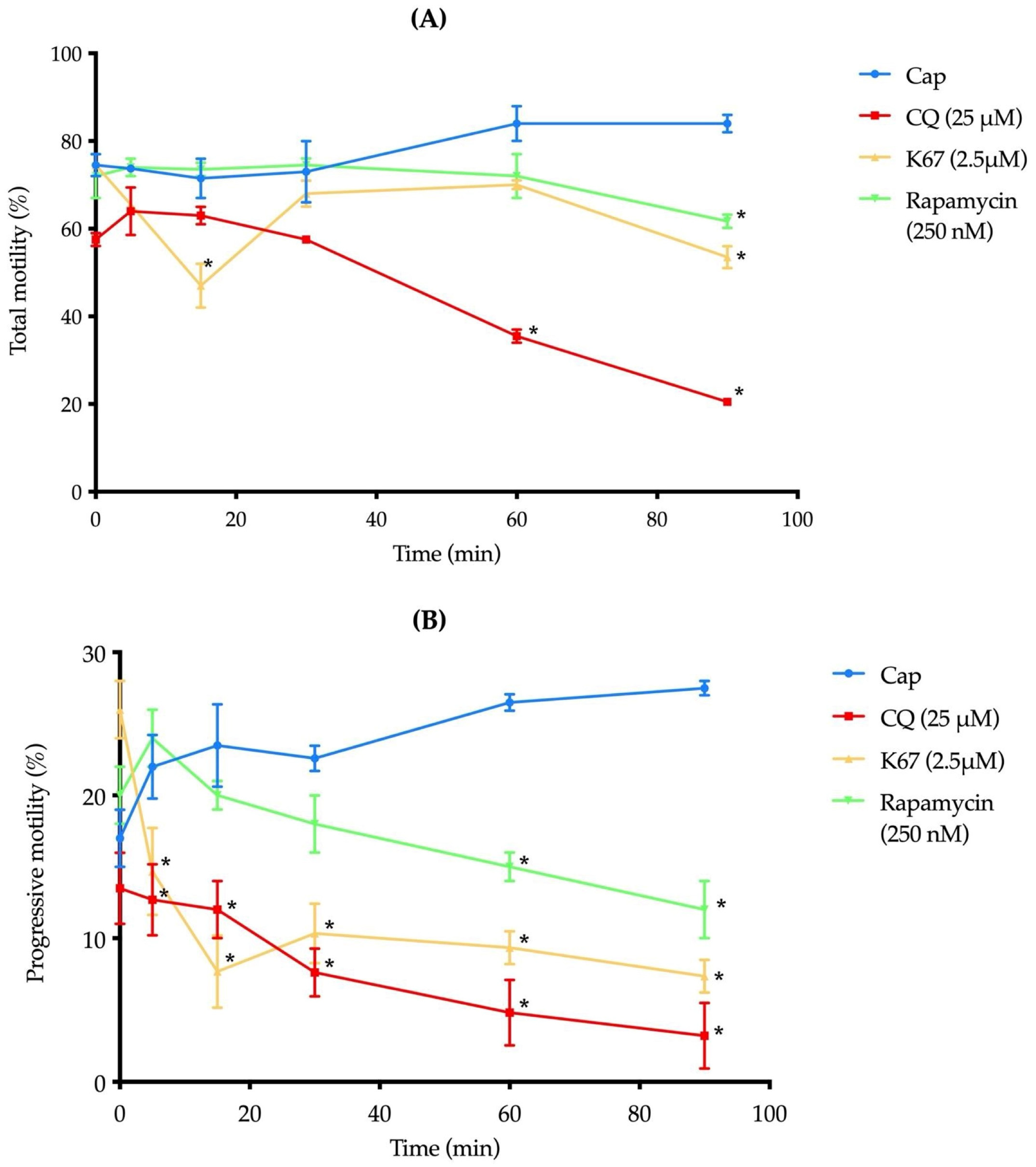 Ijms 26 11895 g006 Ijms 26 11895 g006