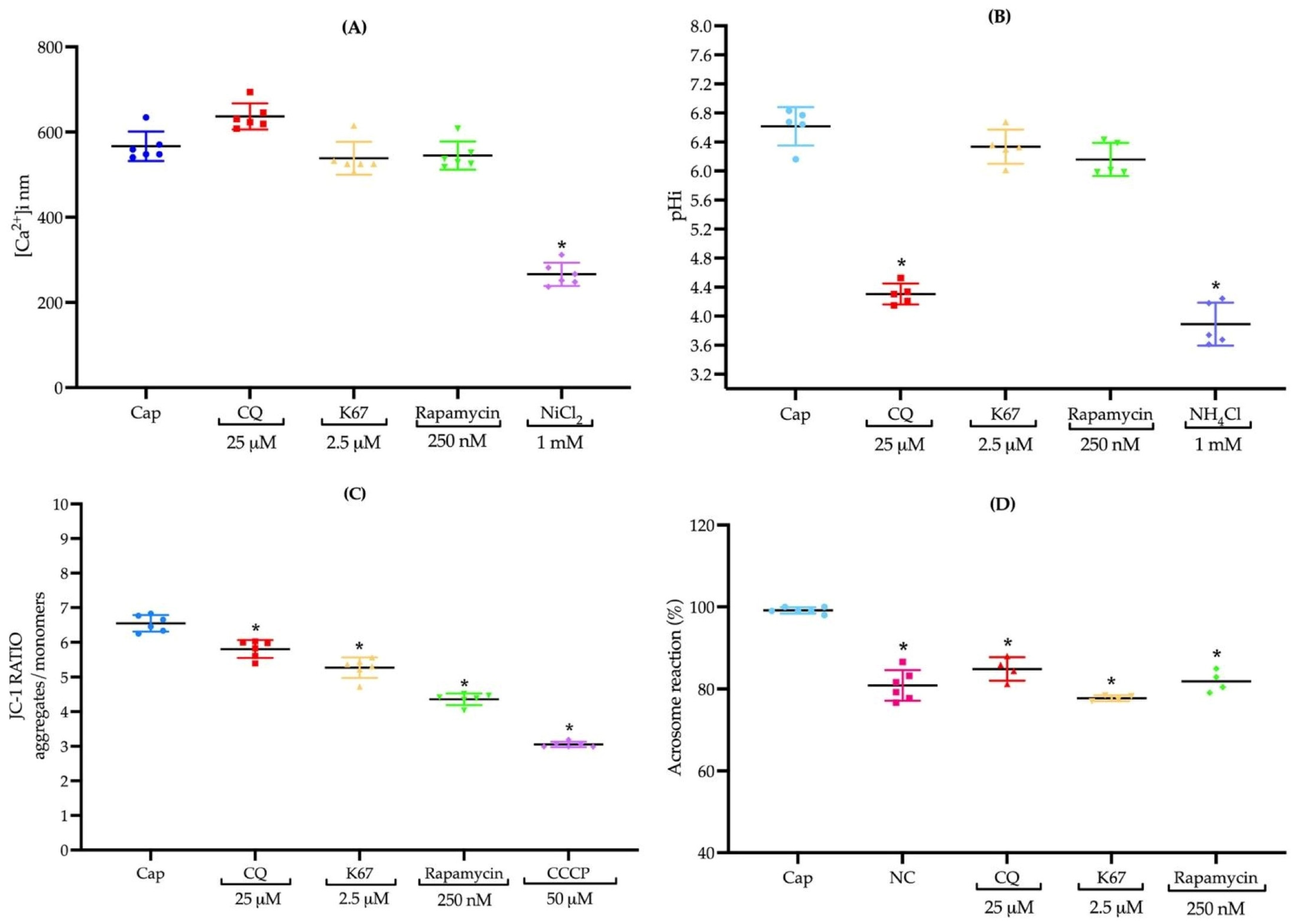 Ijms 26 11895 g007 Ijms 26 11895 g007