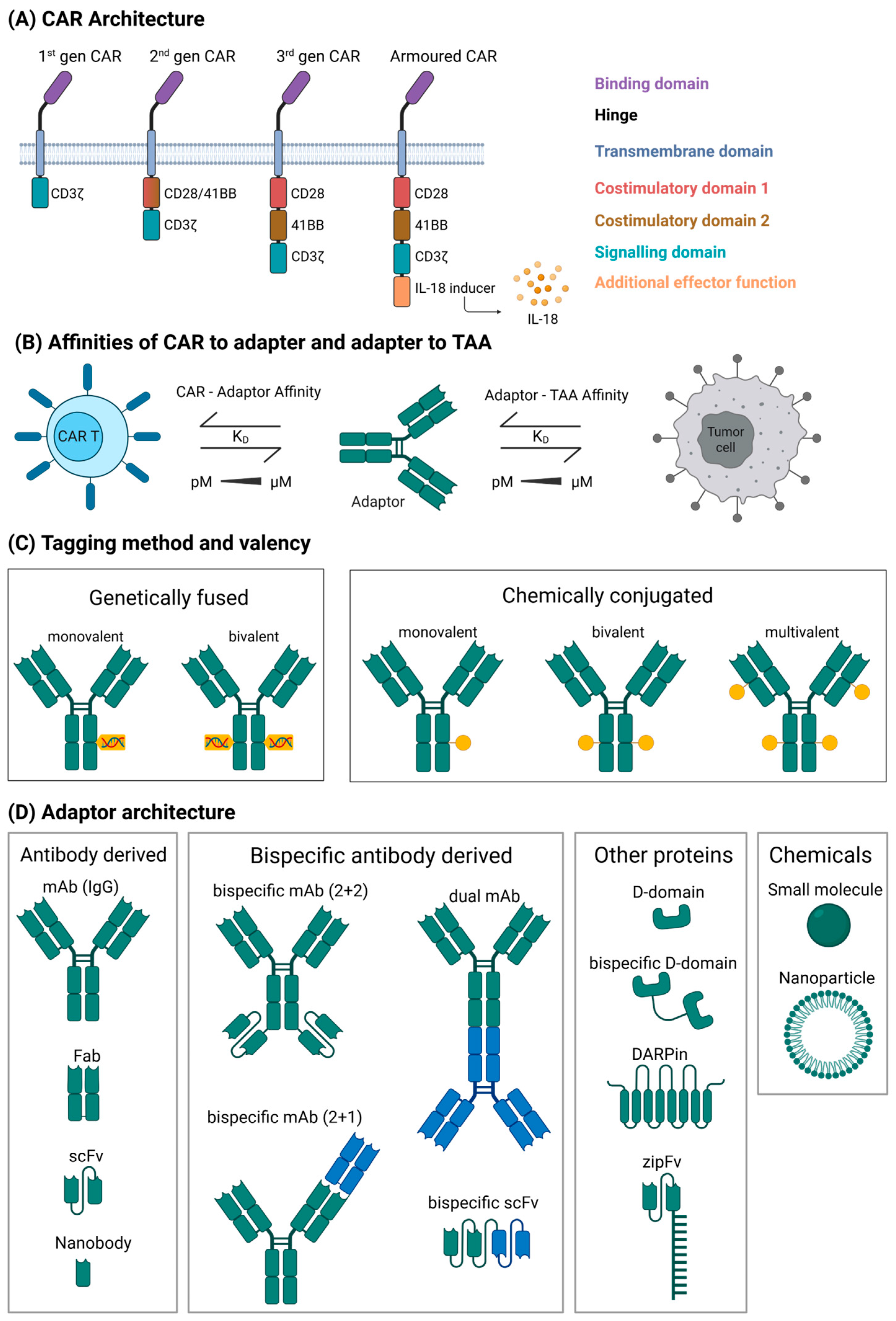 Ijms 26 11898 g001 Ijms 26 11898 g001