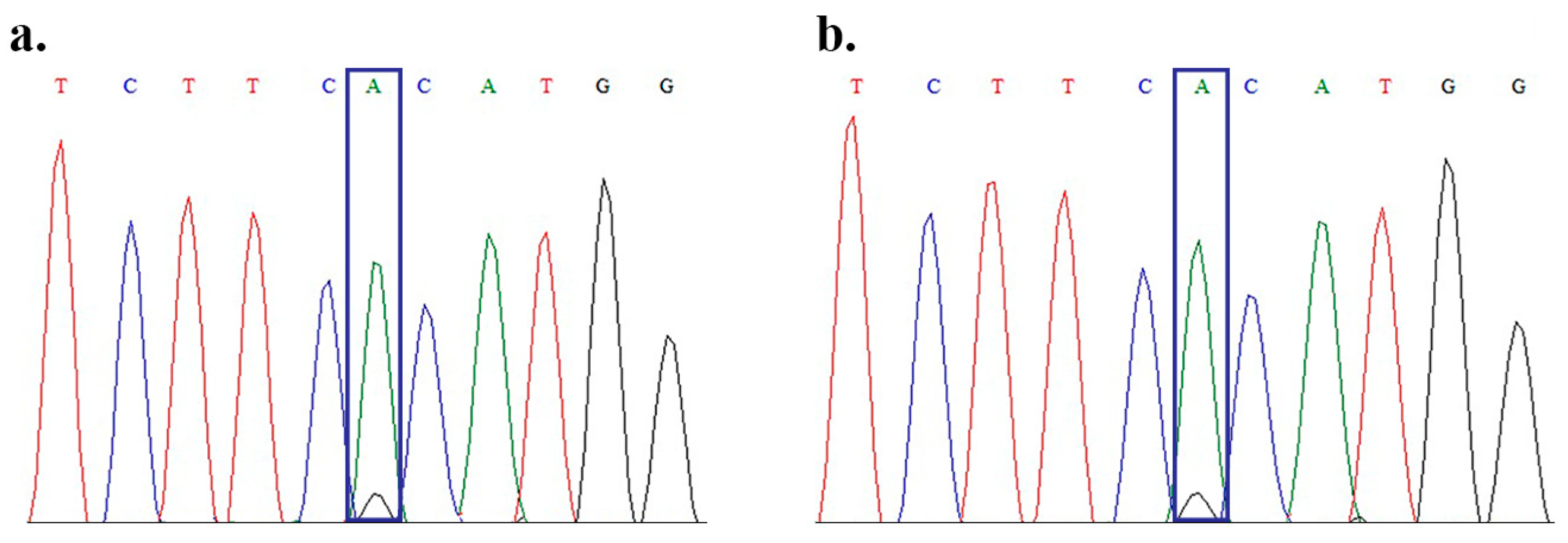 Ijms 26 11899 g001 Ijms 26 11899 g001