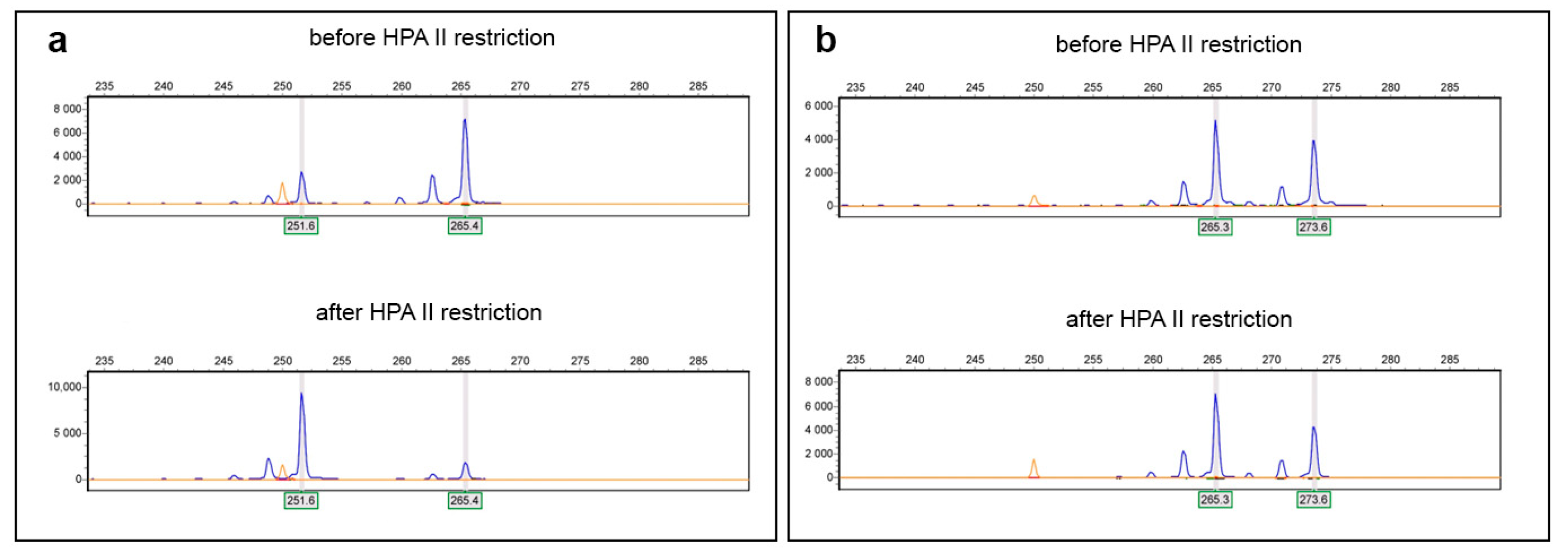 Ijms 26 11899 g002 Ijms 26 11899 g002