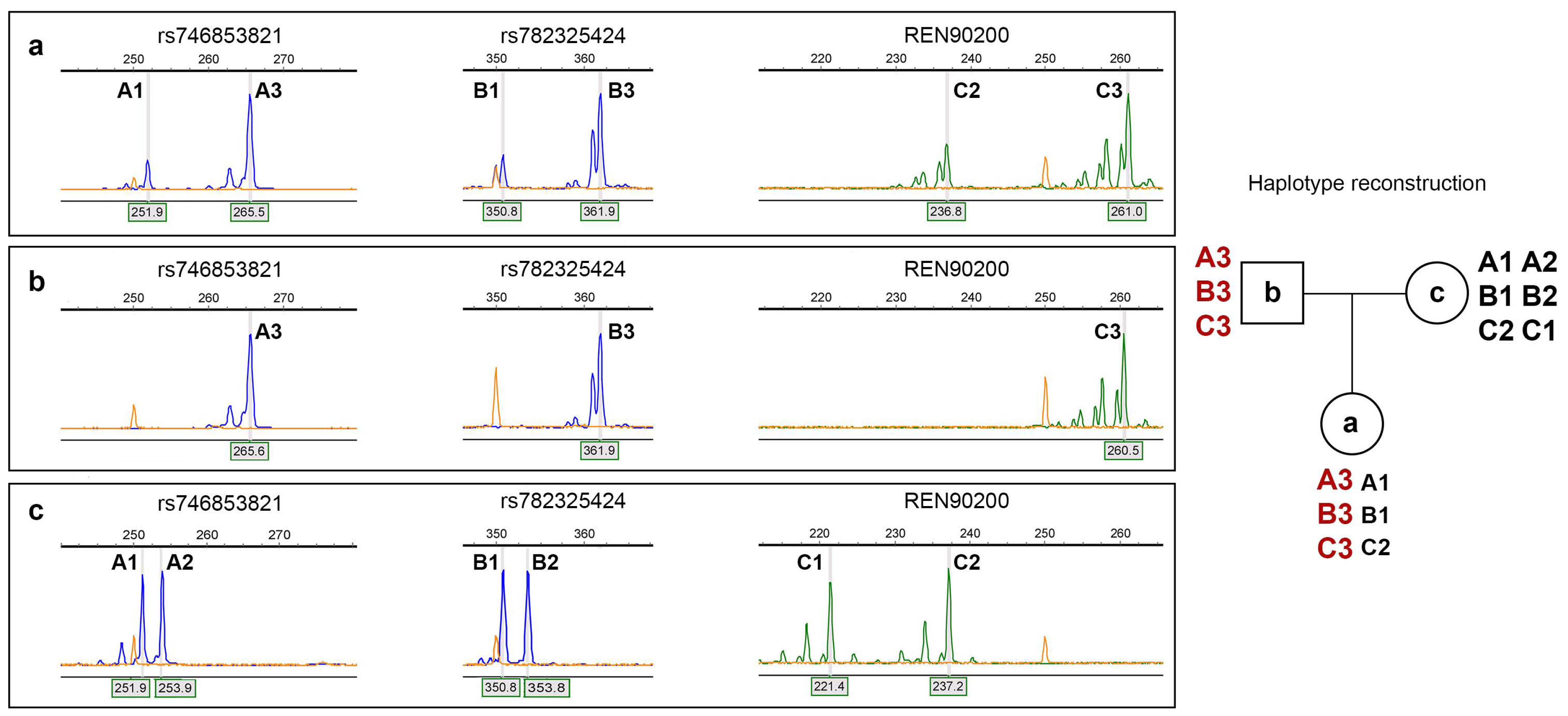 Ijms 26 11899 g003 Ijms 26 11899 g003