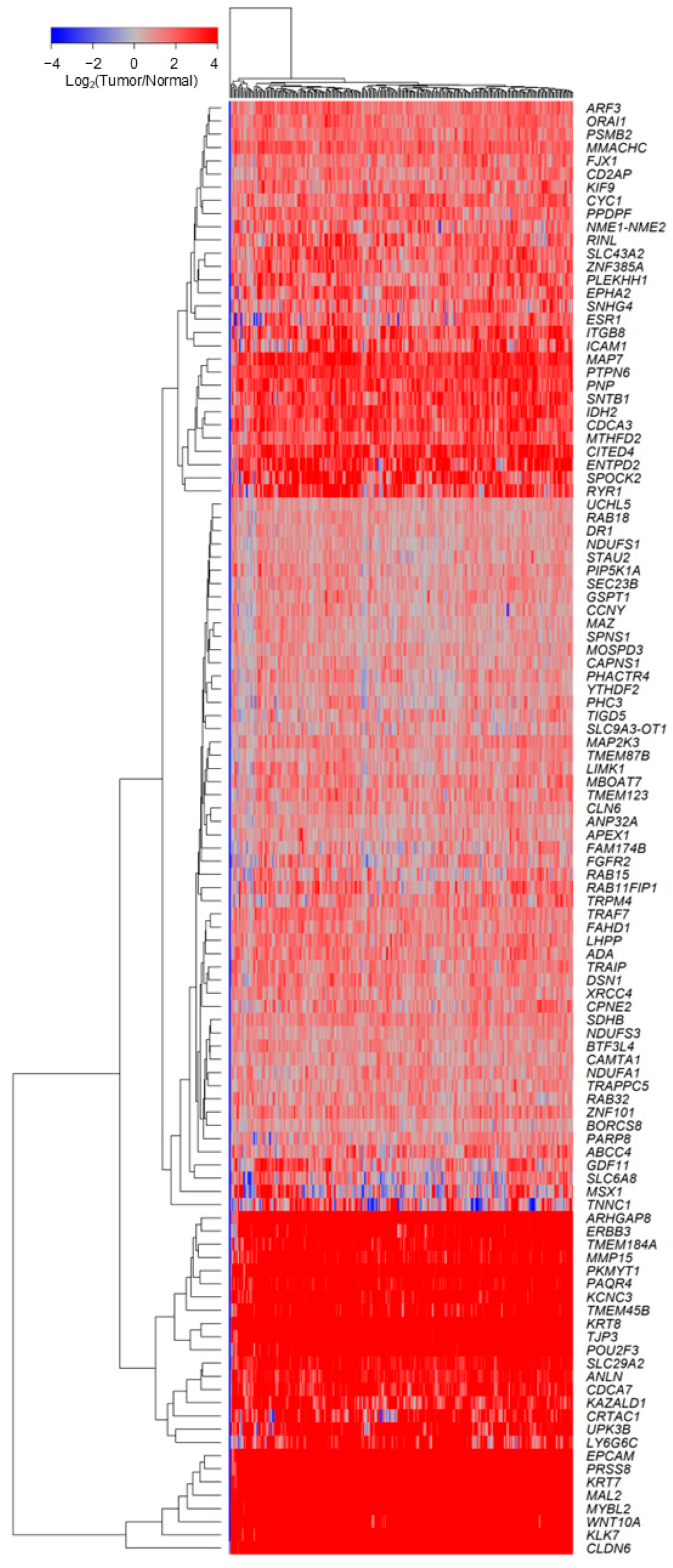 Ijms 26 11900 g001 Ijms 26 11900 g001