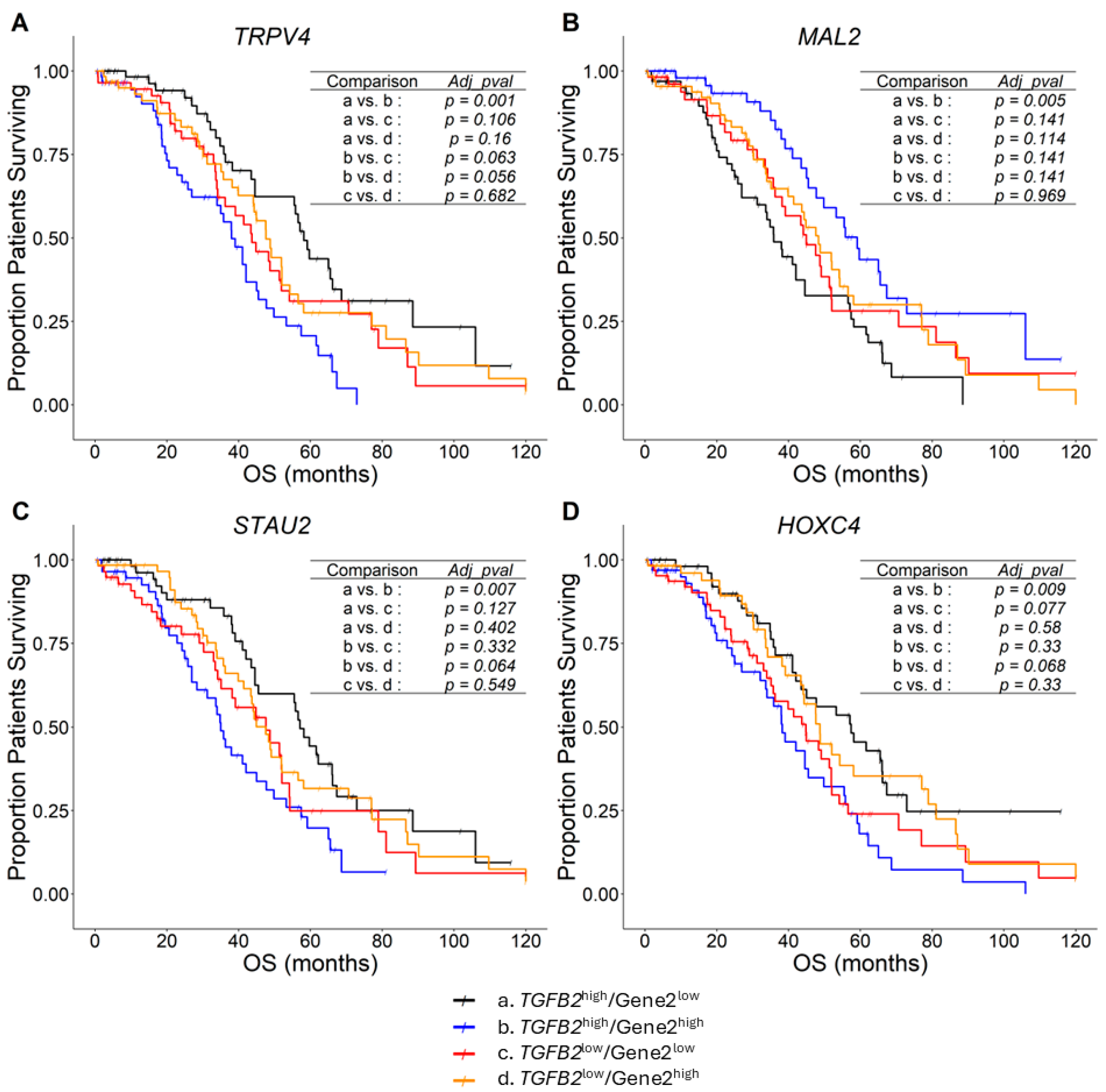 Ijms 26 11900 g002 Ijms 26 11900 g002