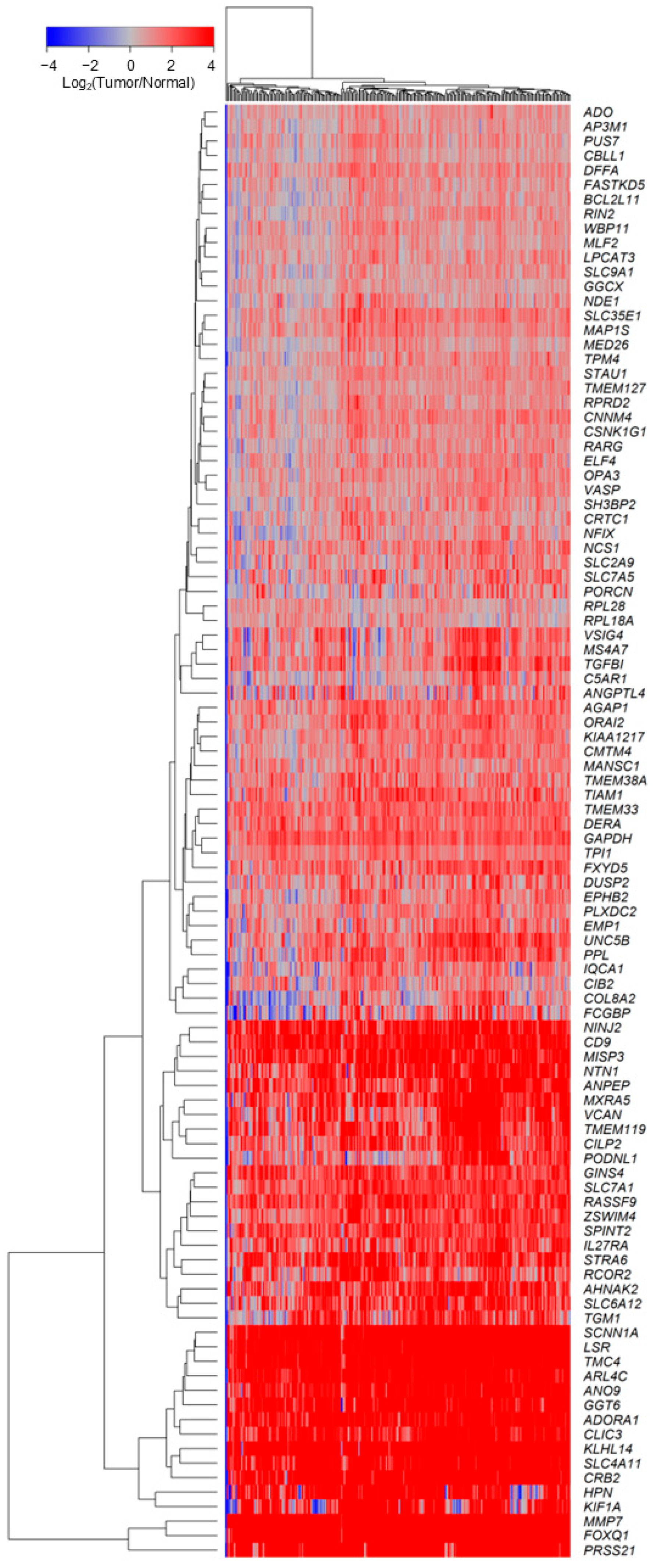 Ijms 26 11900 g003 Ijms 26 11900 g003