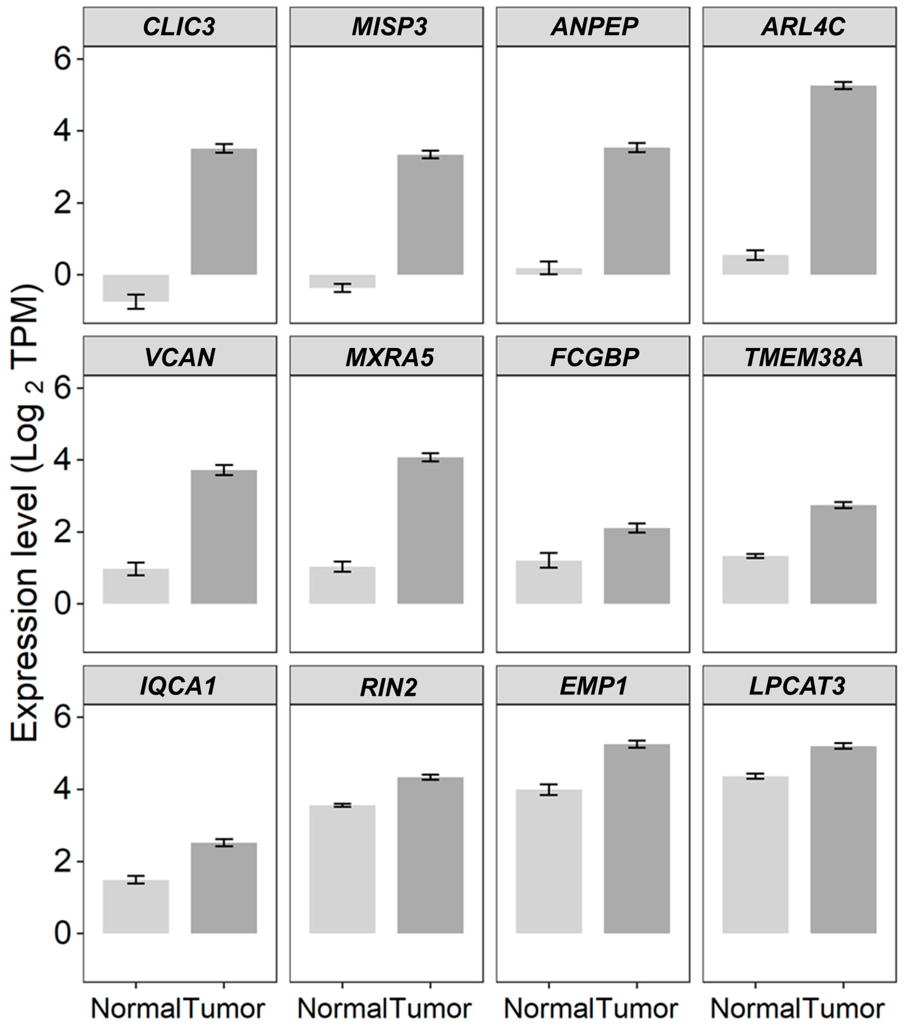 Ijms 26 11900 g004 Ijms 26 11900 g004