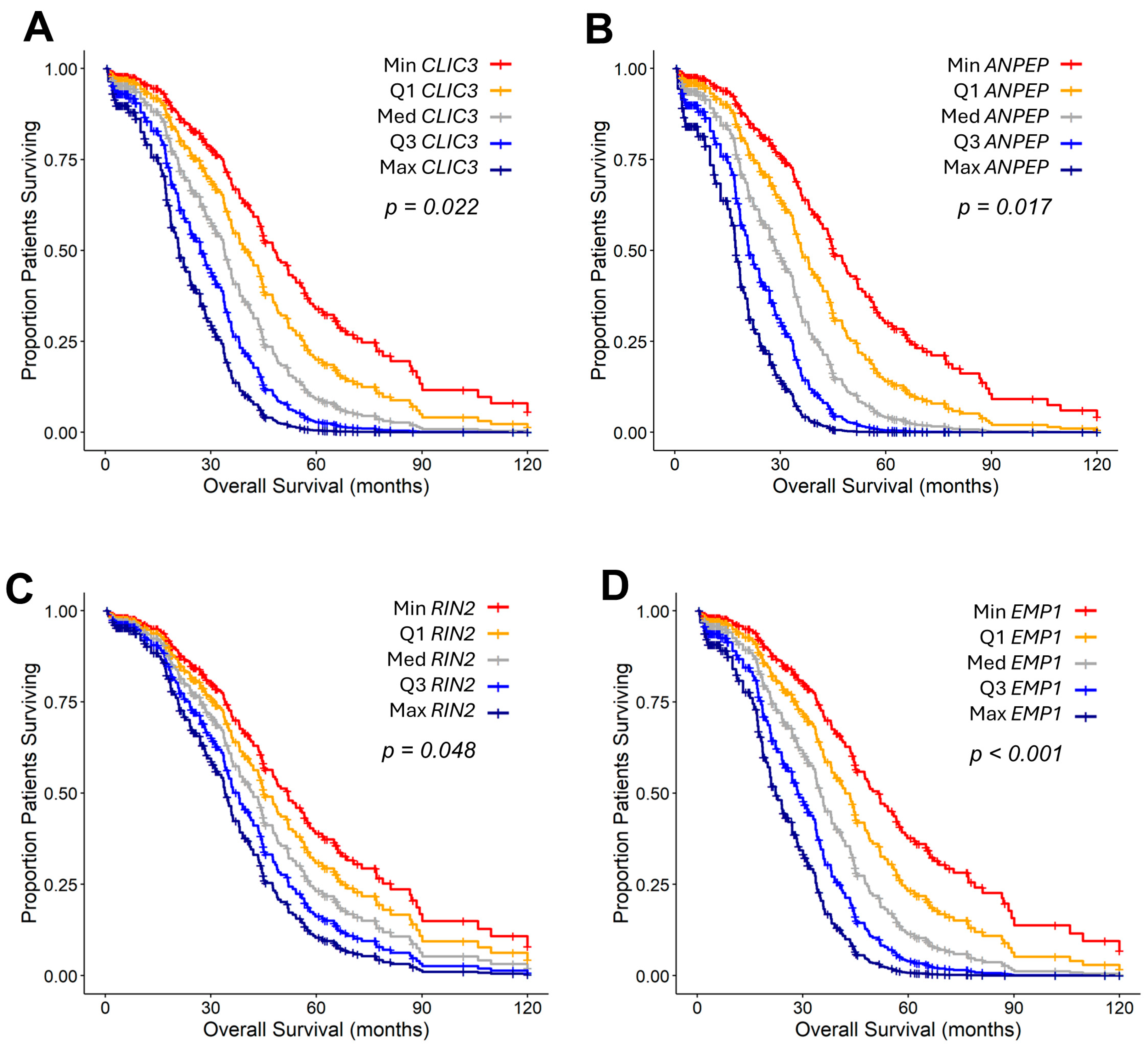 Ijms 26 11900 g005 Ijms 26 11900 g005