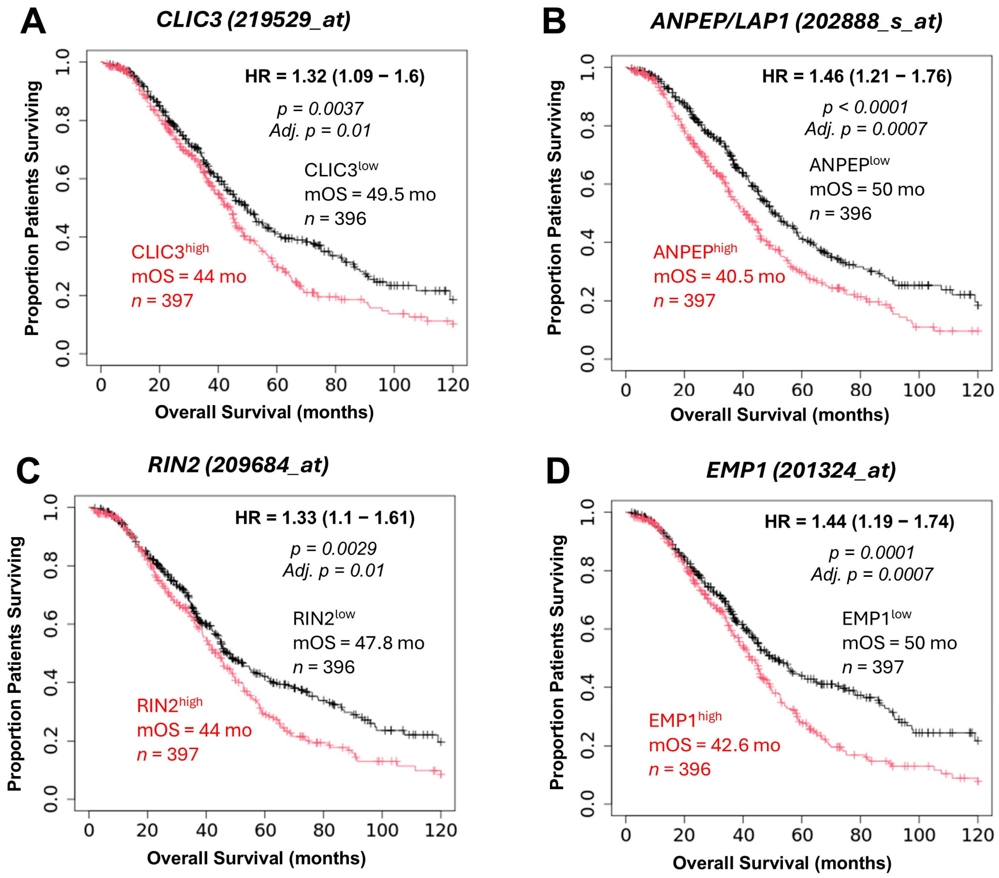 Ijms 26 11900 g006 Ijms 26 11900 g006