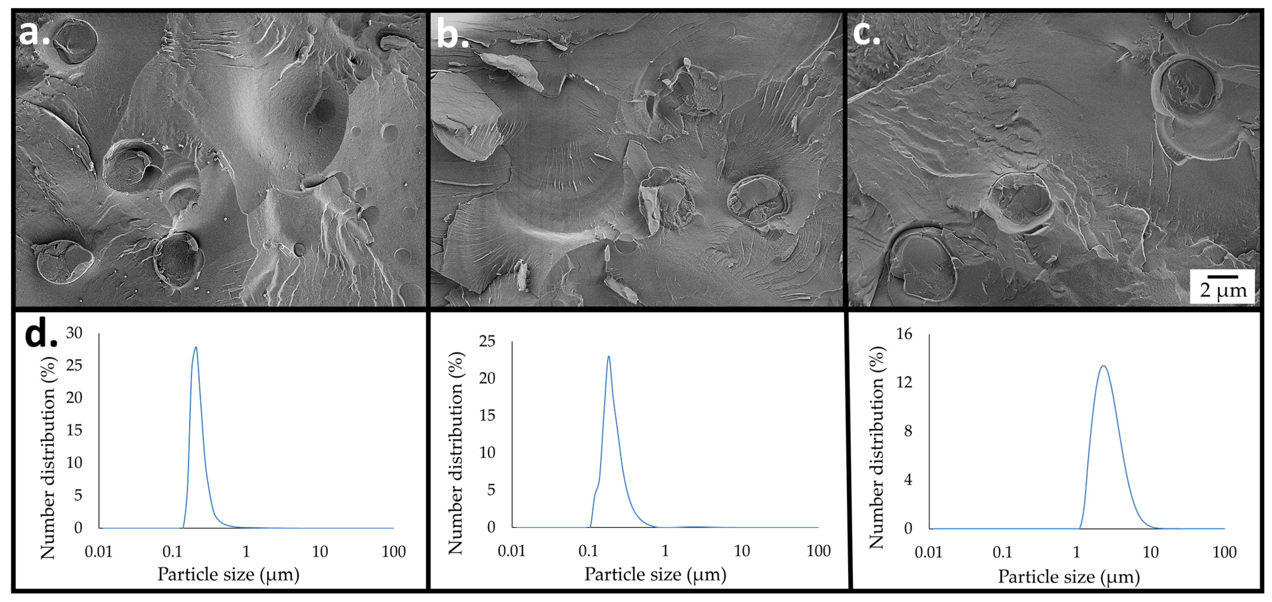 Ijms 26 11902 g004 Ijms 26 11902 g004