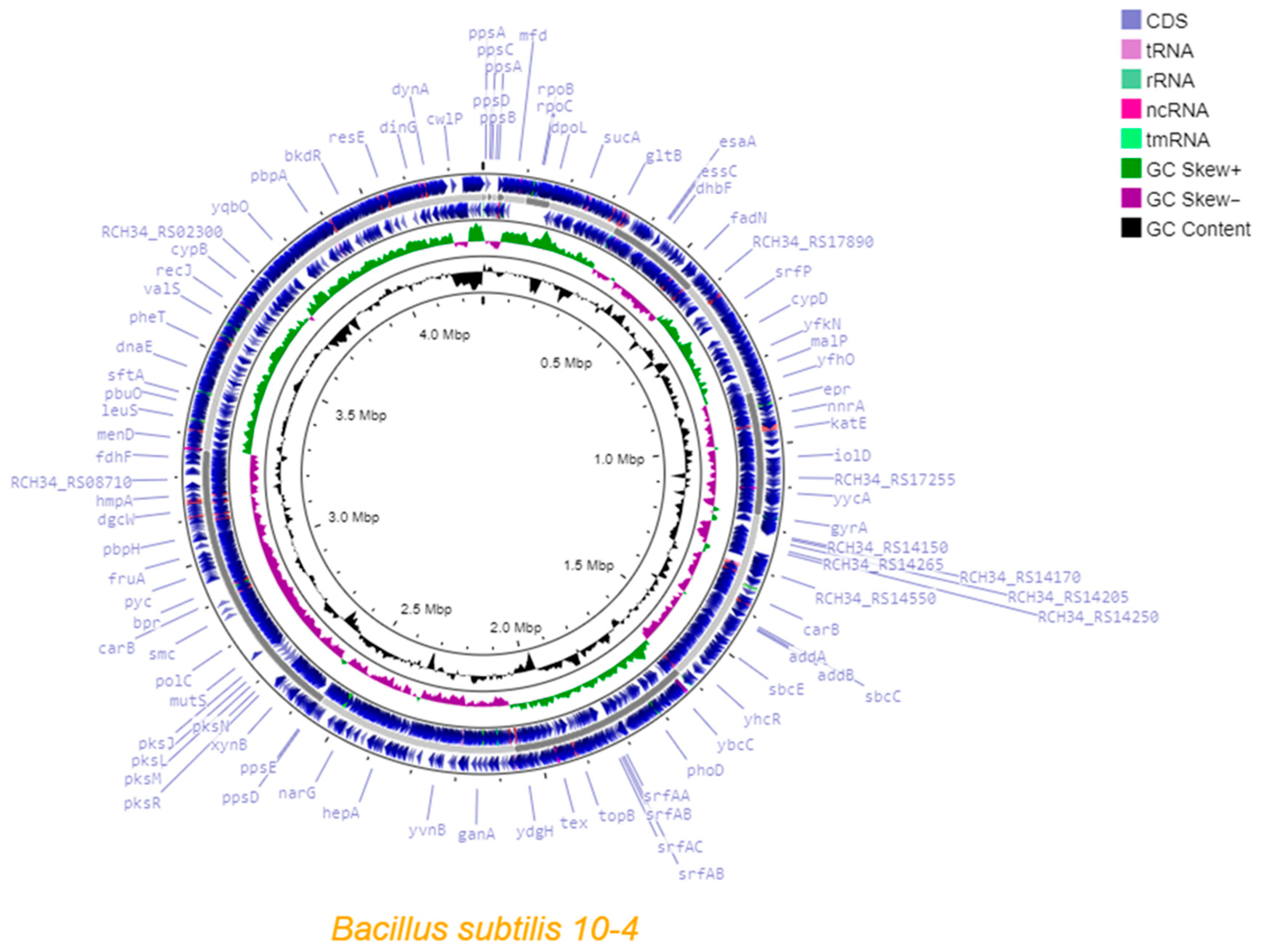 Ijms 26 11904 g001 Ijms 26 11904 g001