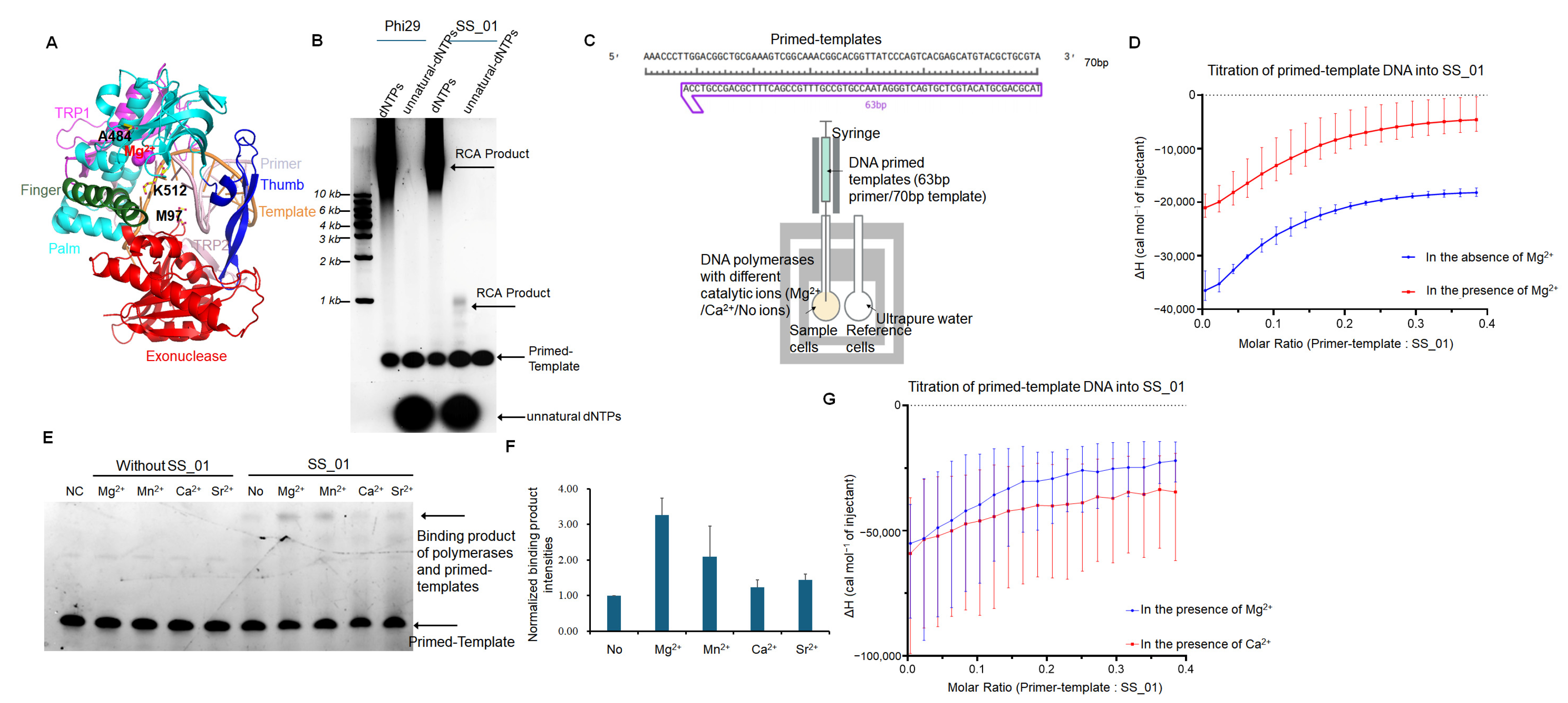 Ijms 26 11909 g001 Ijms 26 11909 g001