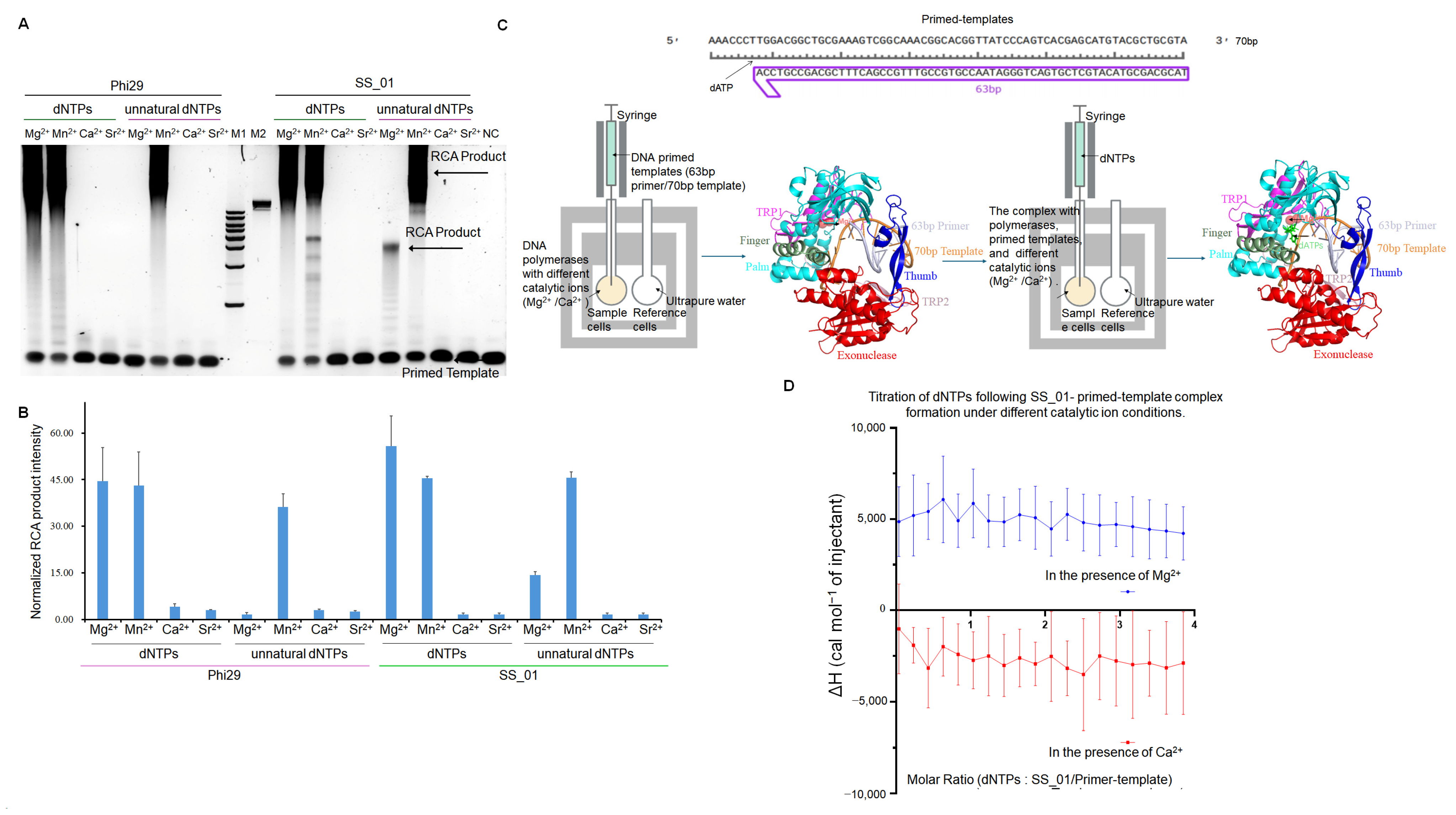 Ijms 26 11909 g002 Ijms 26 11909 g002