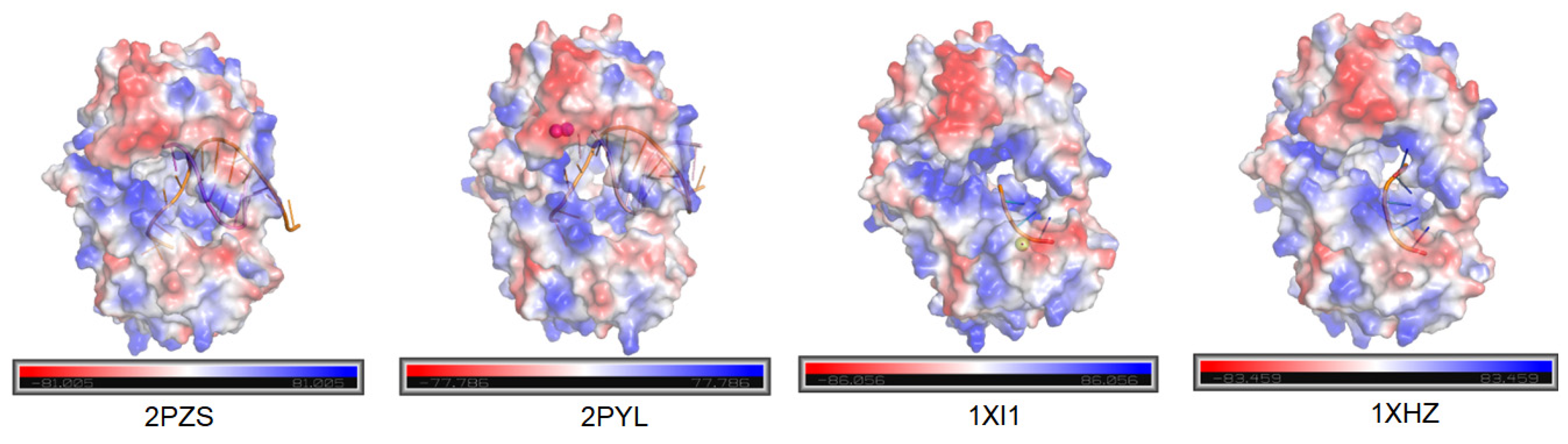 Ijms 26 11909 g004 Ijms 26 11909 g004