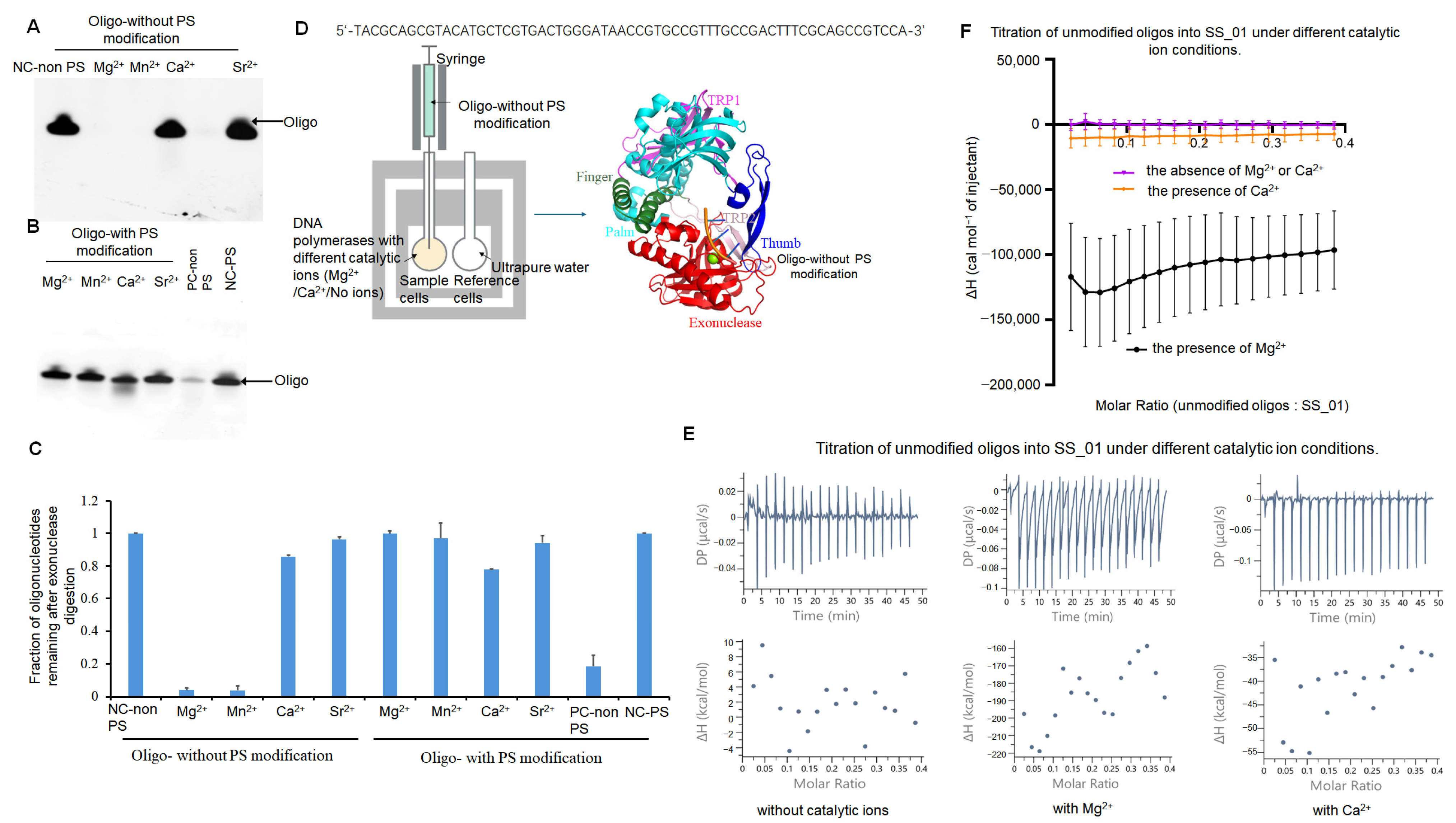 Ijms 26 11909 g005 Ijms 26 11909 g005