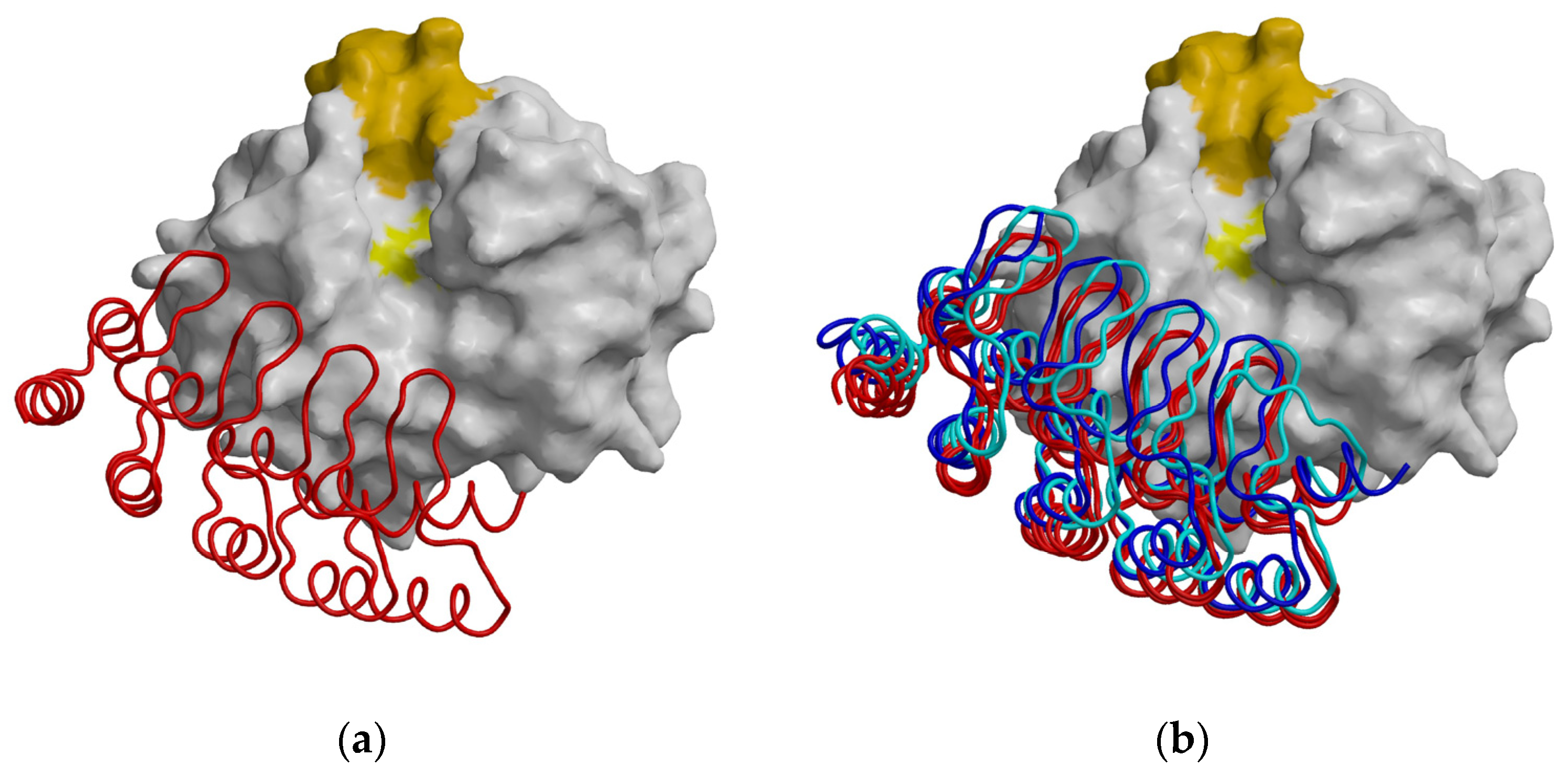 Ijms 26 11910 g005 Ijms 26 11910 g005