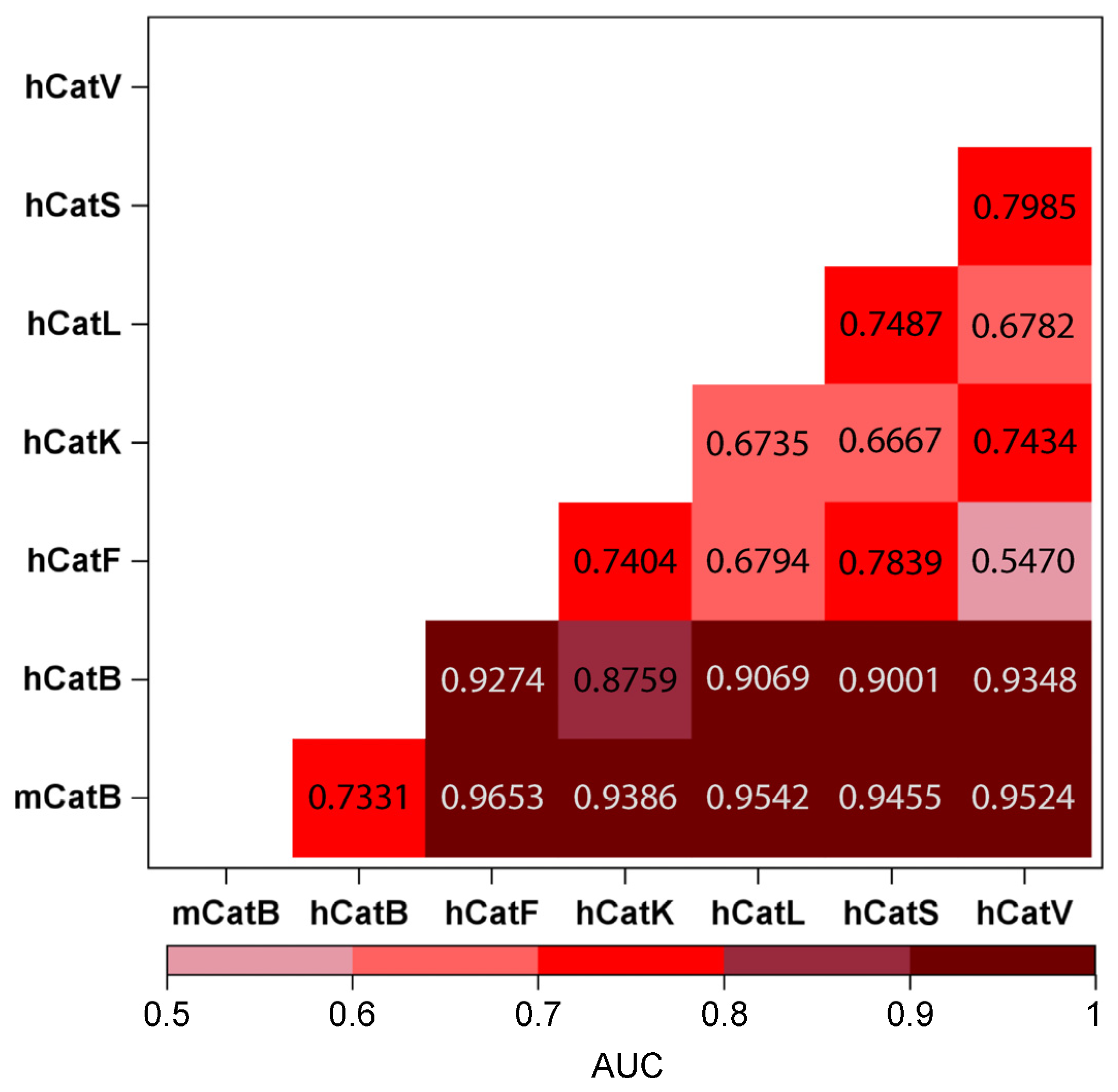 Ijms 26 11910 g010 Ijms 26 11910 g010