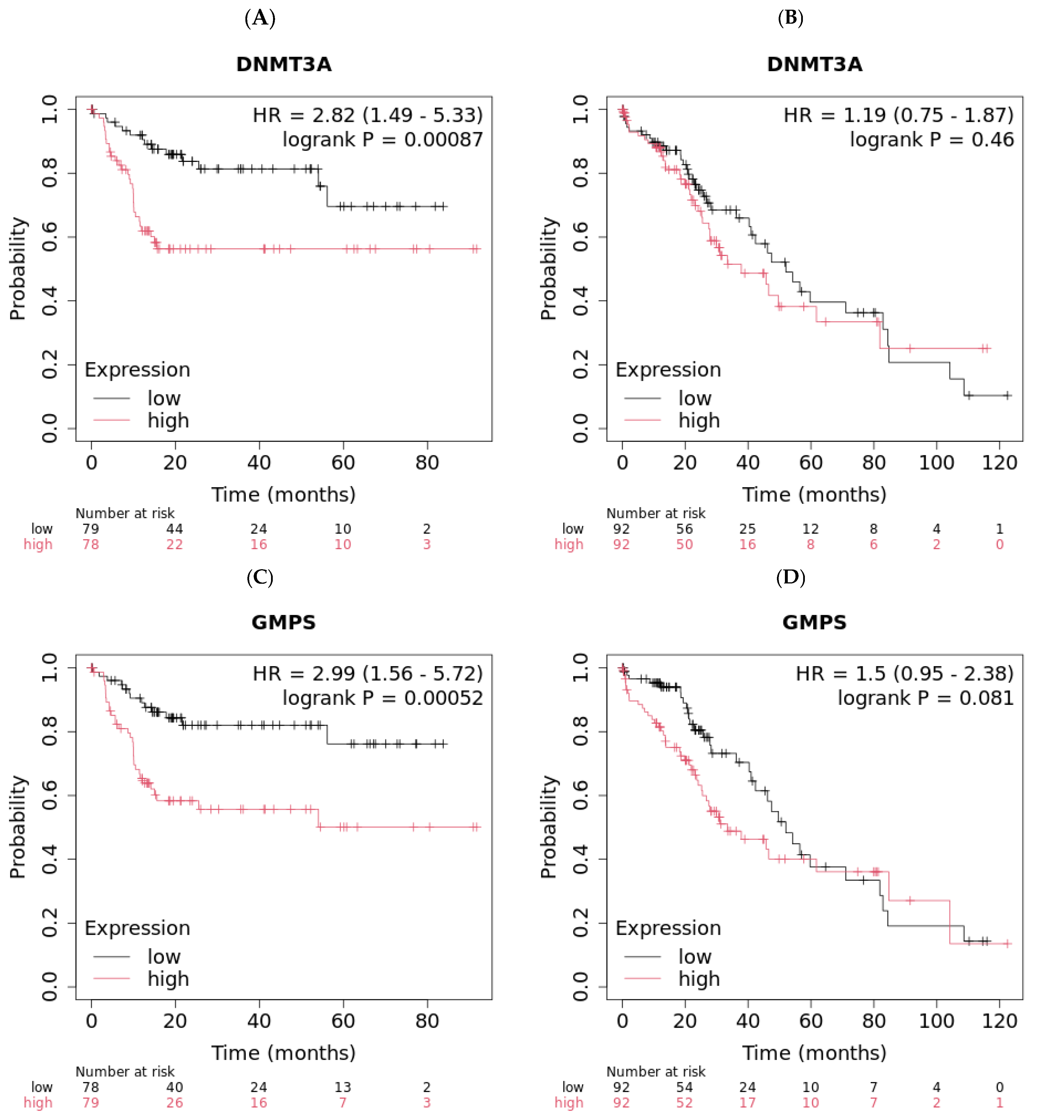 Ijms 26 11920 g001 Ijms 26 11920 g001