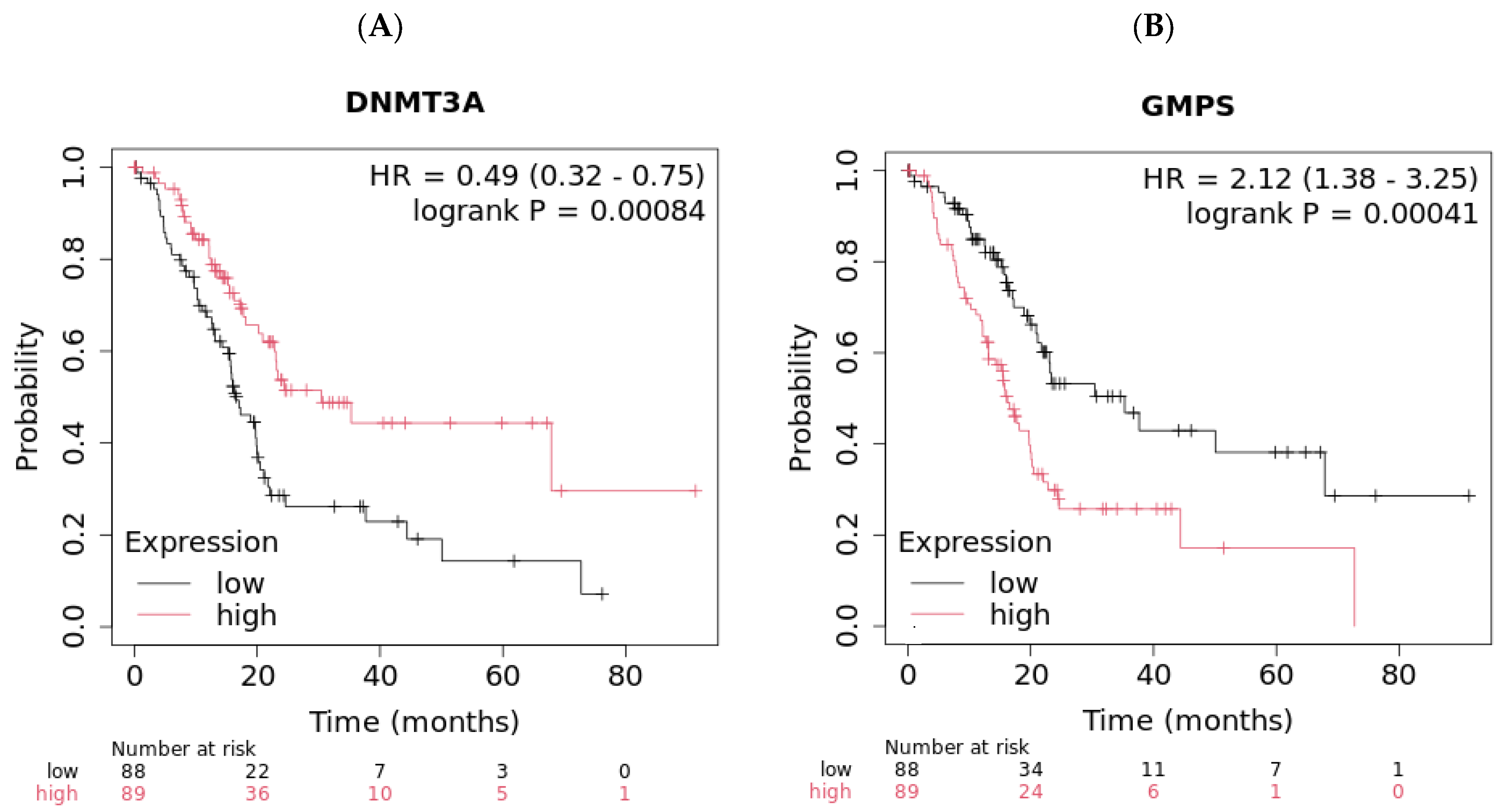 Ijms 26 11920 g002 Ijms 26 11920 g002