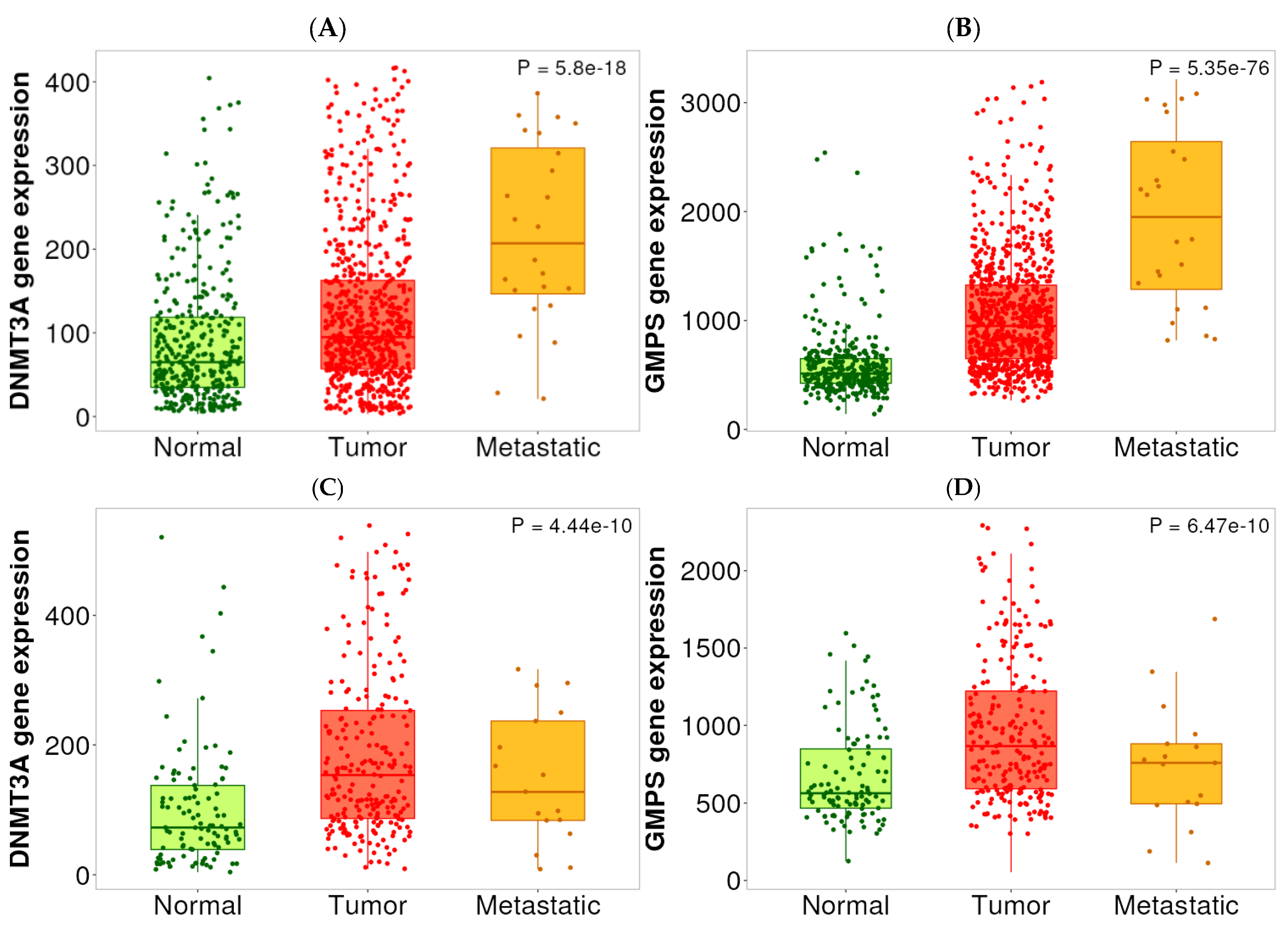 Ijms 26 11920 g003 Ijms 26 11920 g003