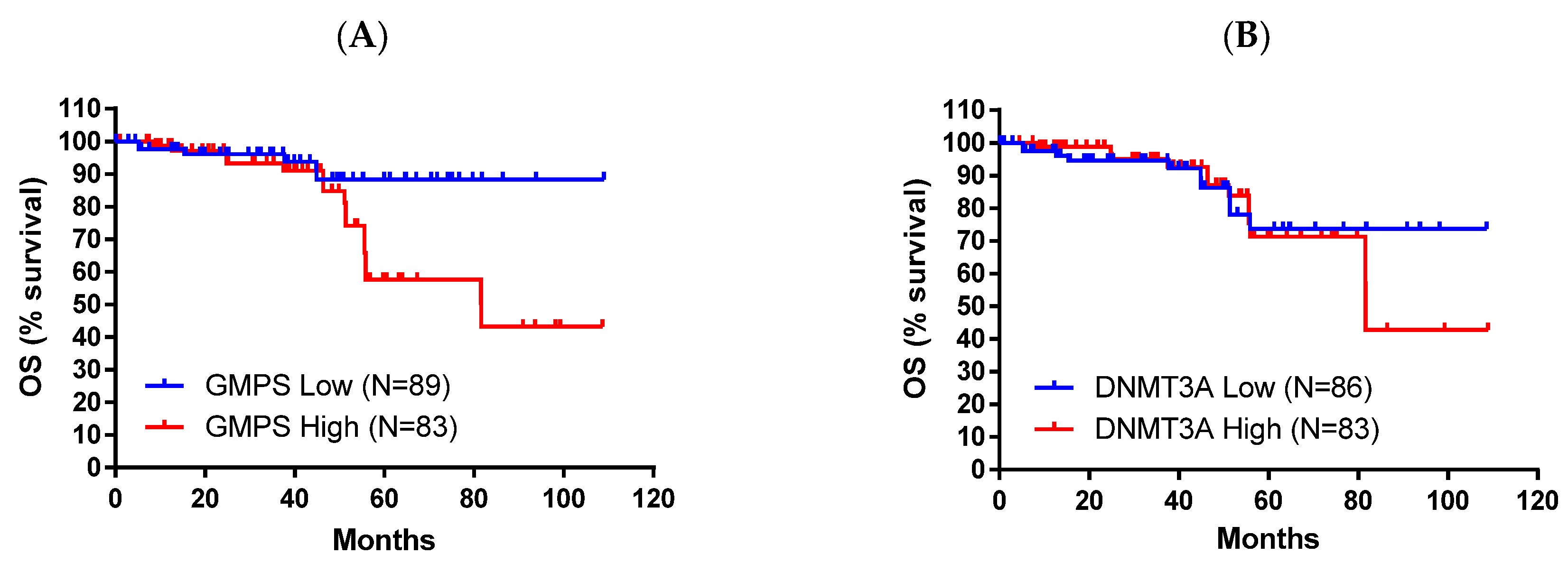 Ijms 26 11920 g005 Ijms 26 11920 g005