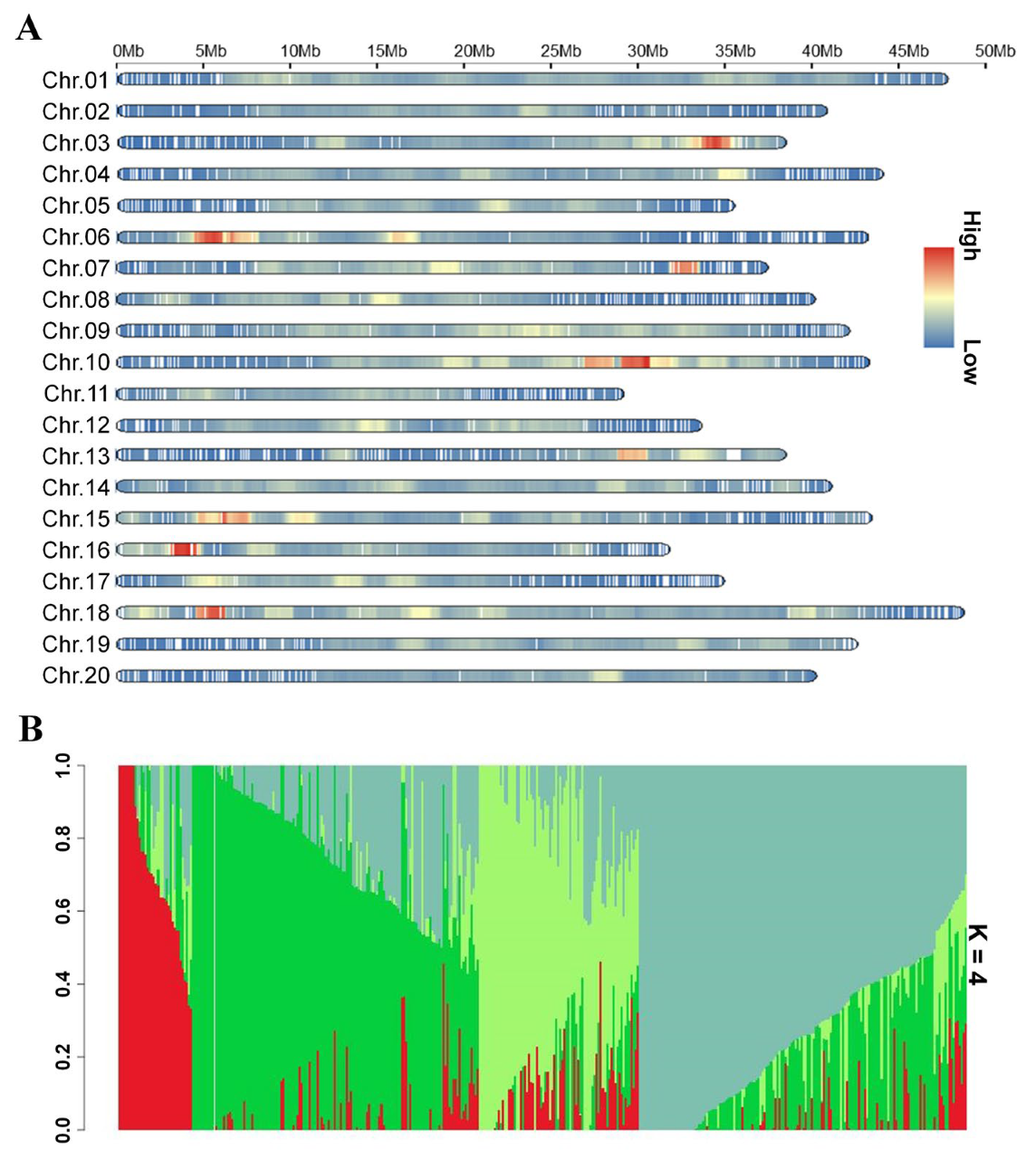 Ijms 26 11921 g002 Ijms 26 11921 g002