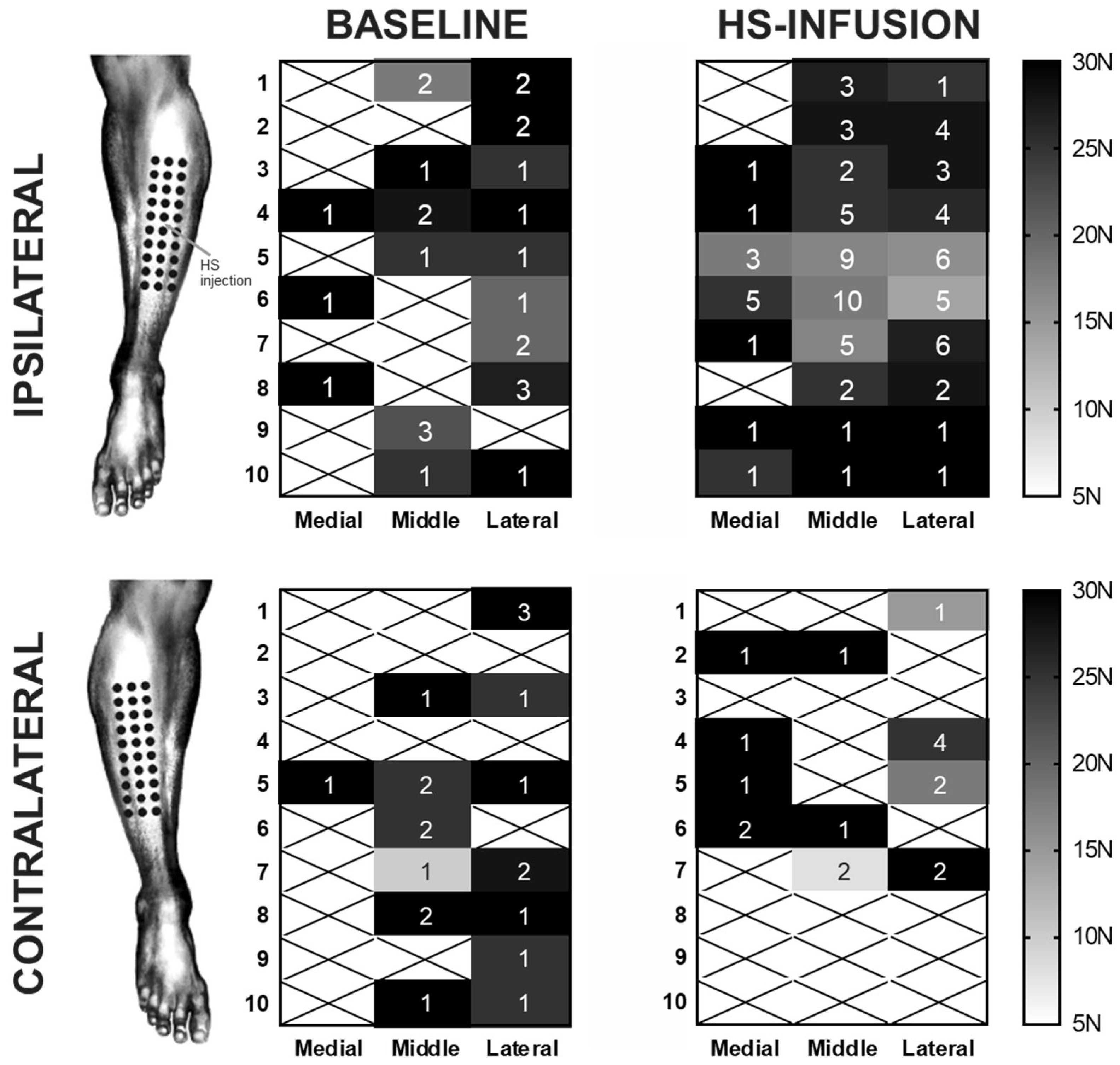 Ijms 26 11922 g003 Ijms 26 11922 g003