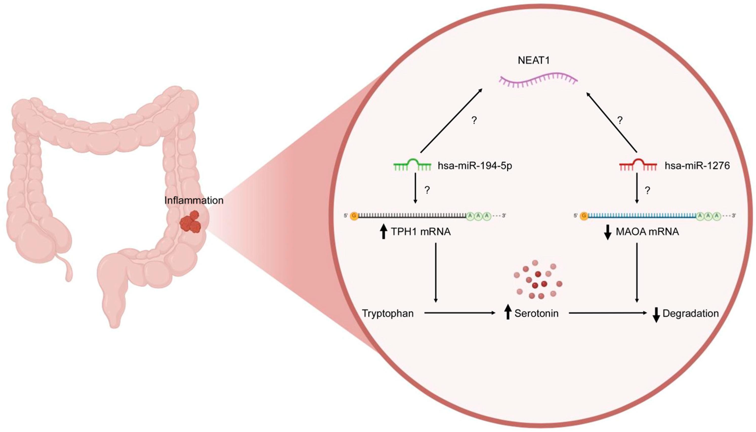 Ijms 26 11923 g001 Ijms 26 11923 g001