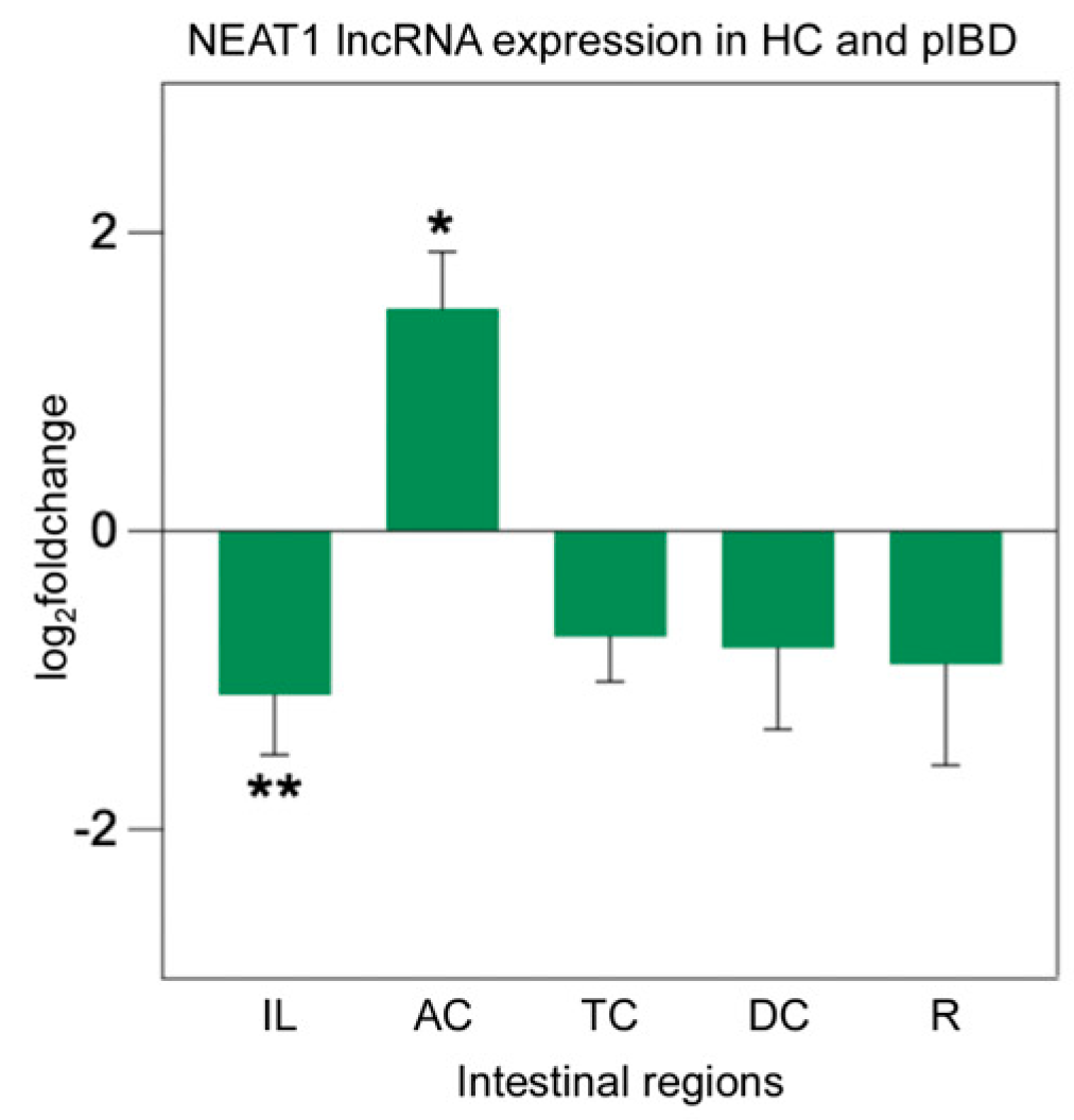 Ijms 26 11923 g005 Ijms 26 11923 g005