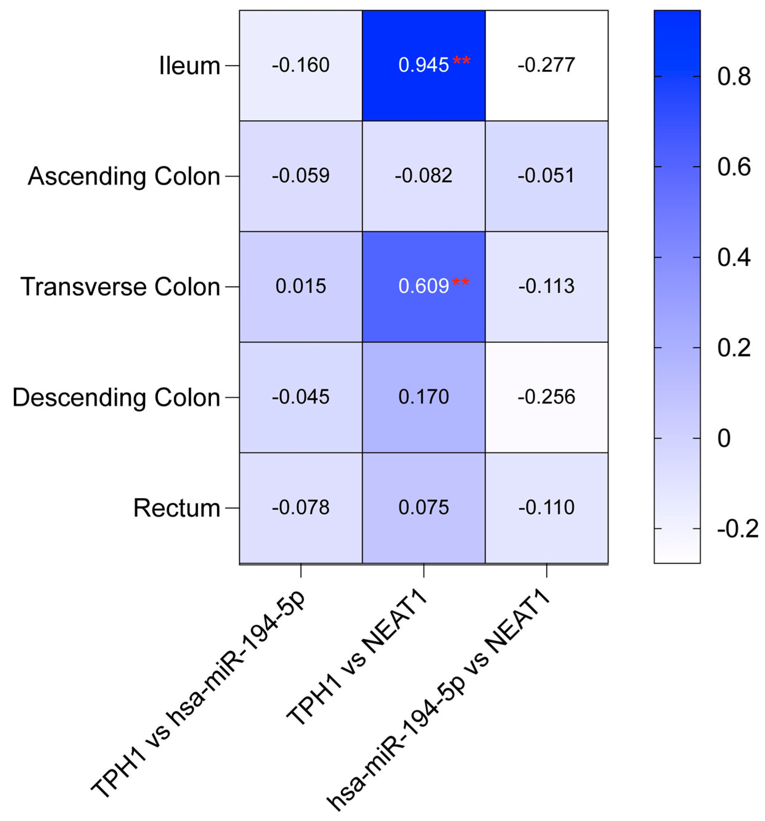 Ijms 26 11923 g006 Ijms 26 11923 g006