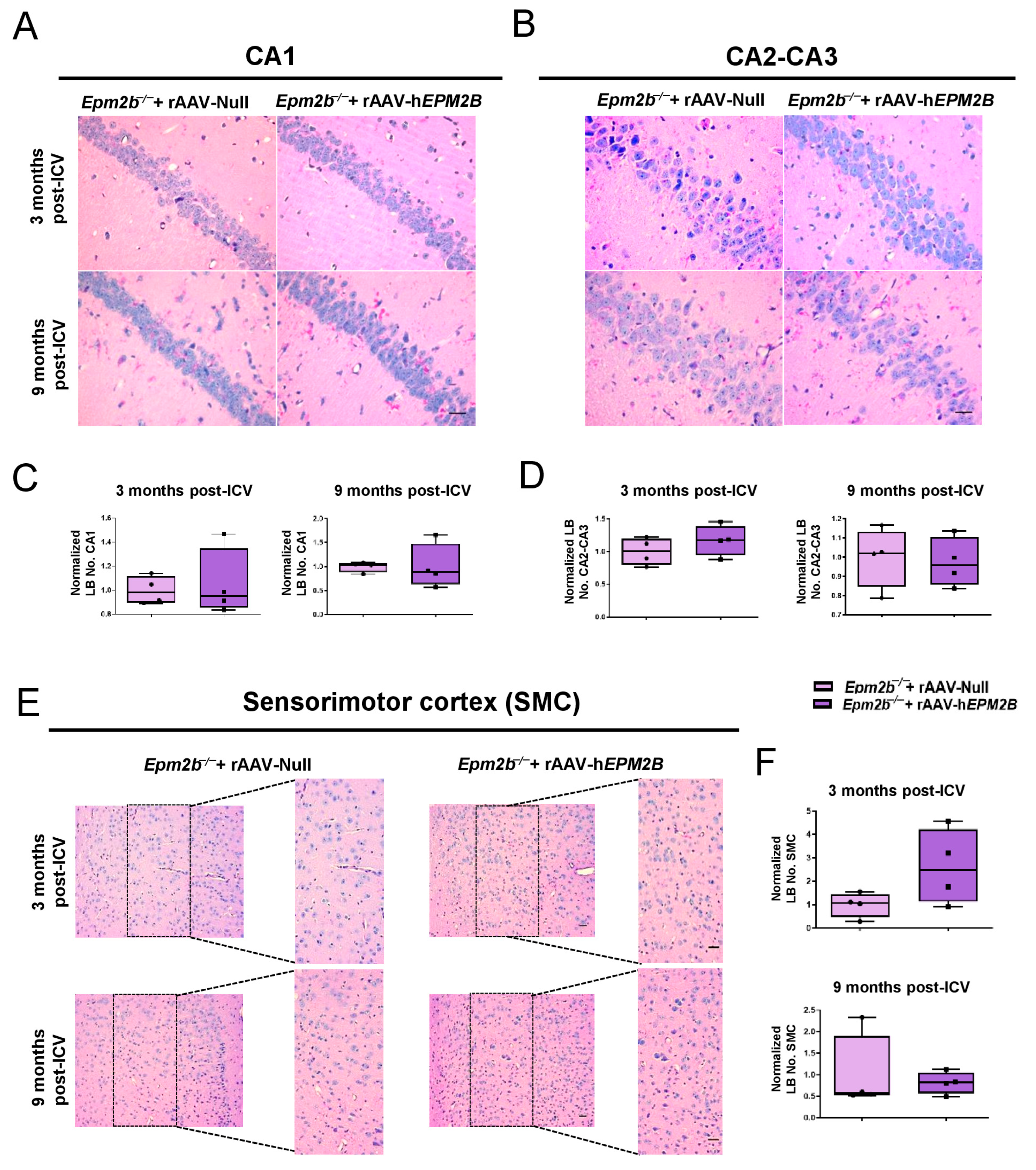 Ijms 26 11930 g002 Ijms 26 11930 g002