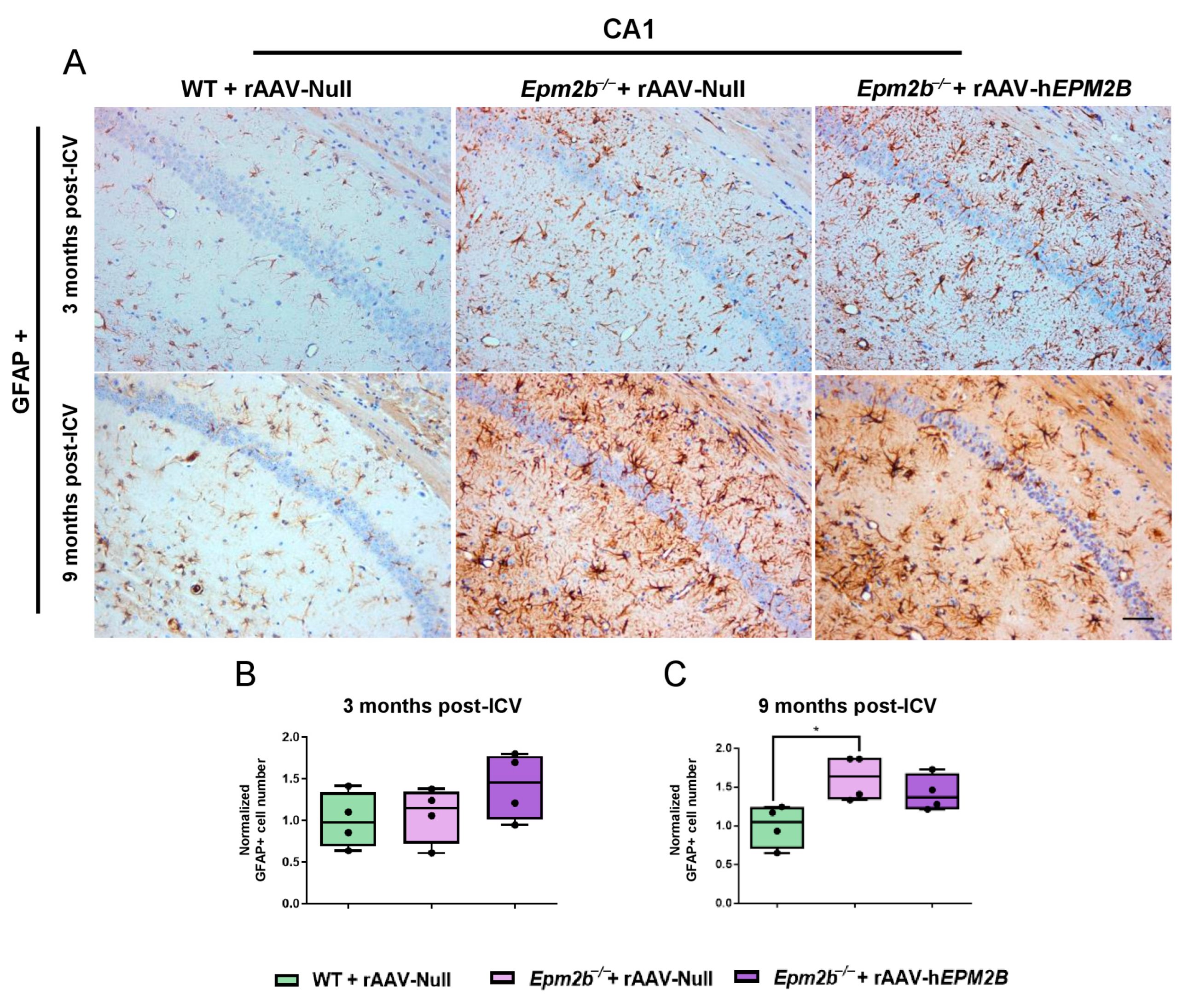 Ijms 26 11930 g003 Ijms 26 11930 g003