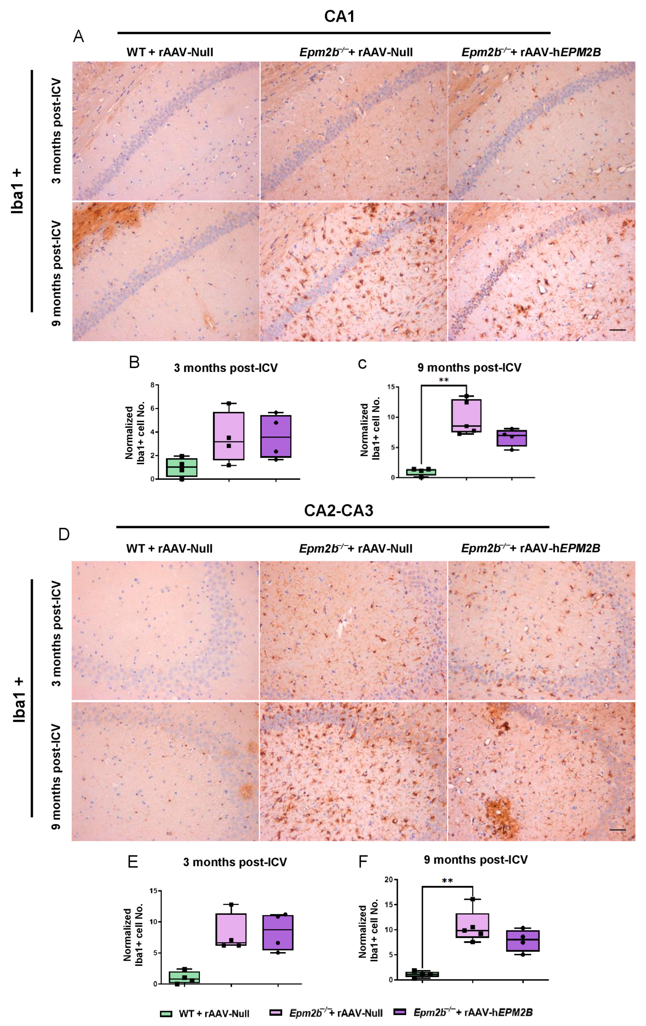 Ijms 26 11930 g004 Ijms 26 11930 g004