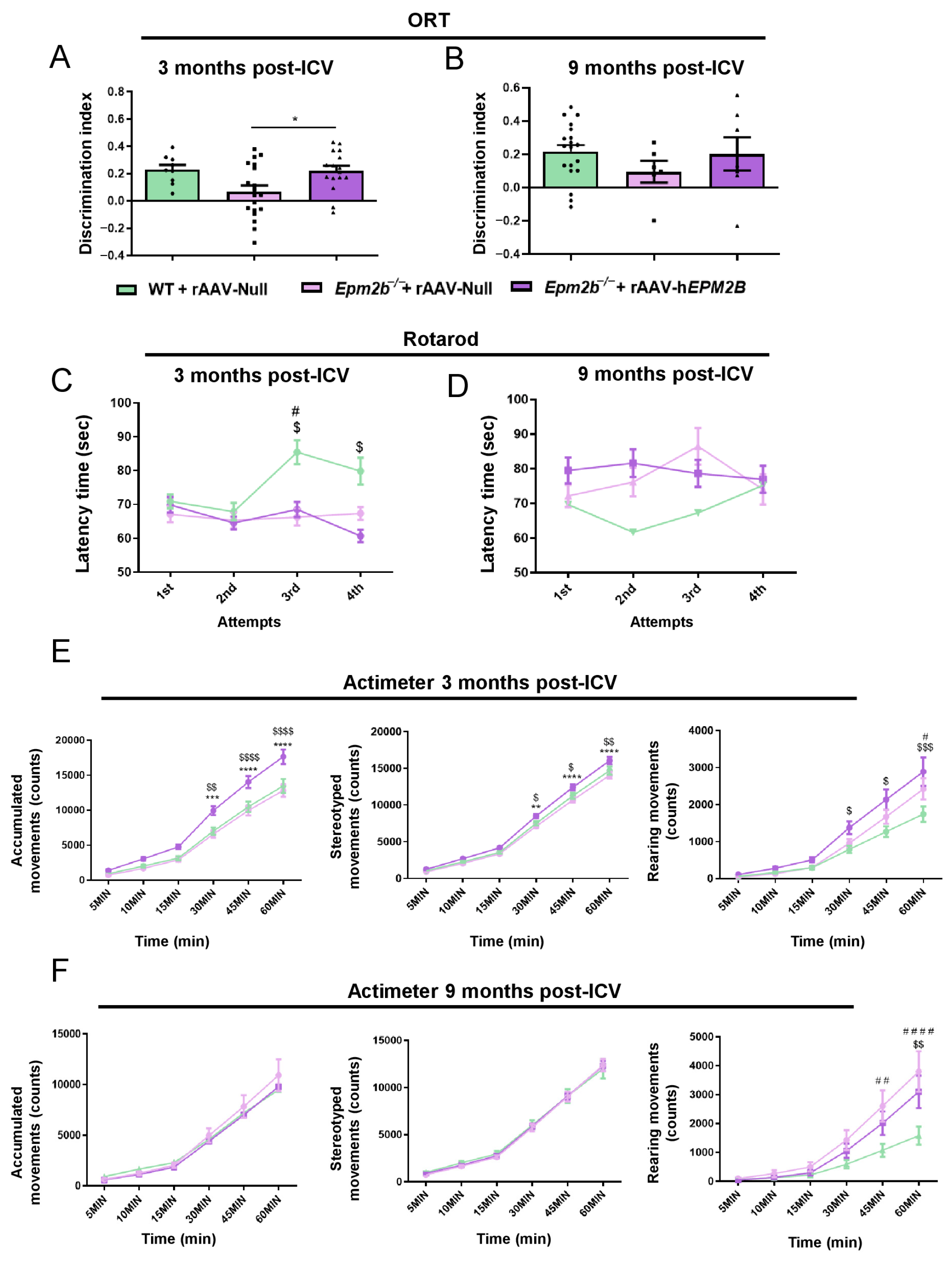 Ijms 26 11930 g006 Ijms 26 11930 g006