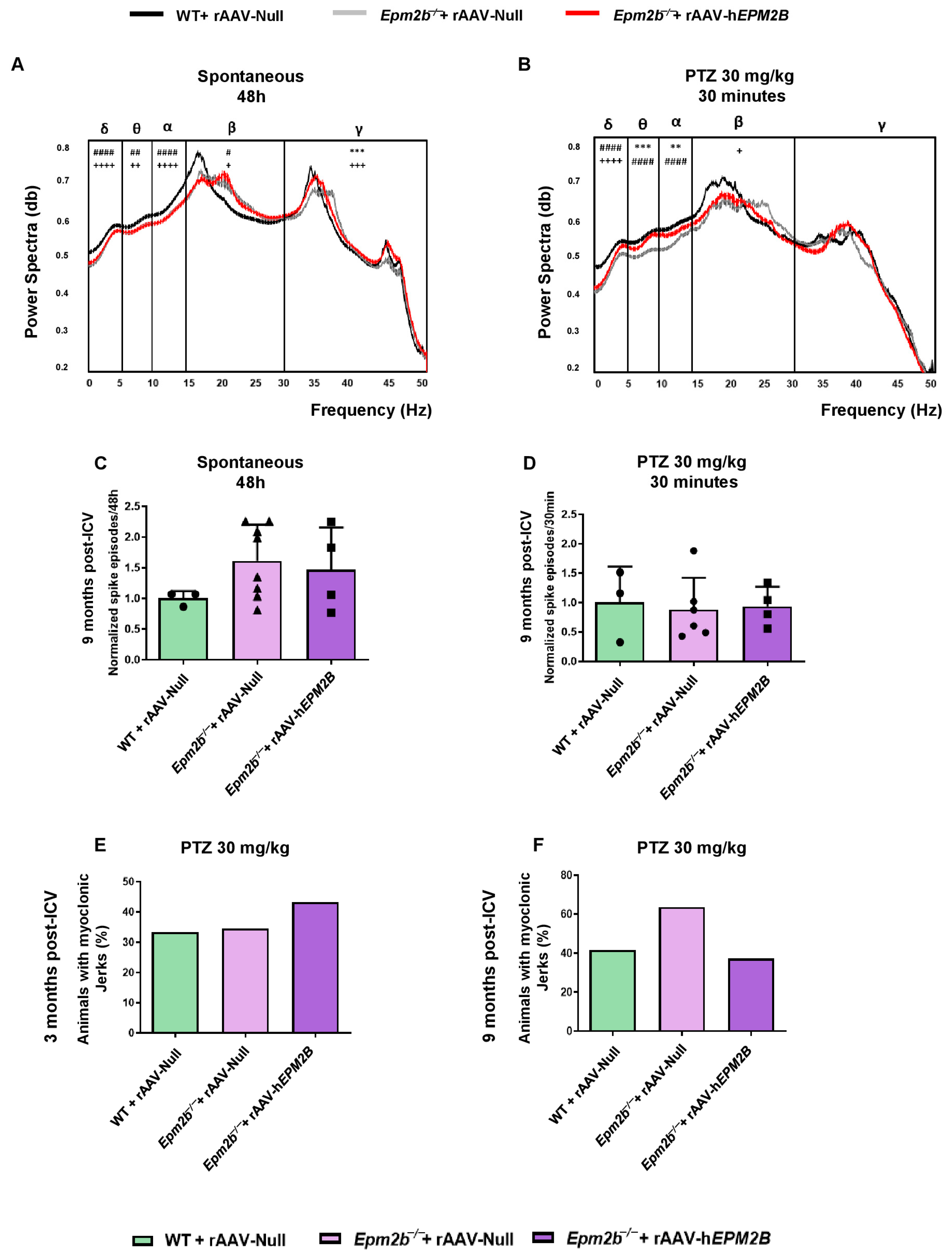 Ijms 26 11930 g007 Ijms 26 11930 g007