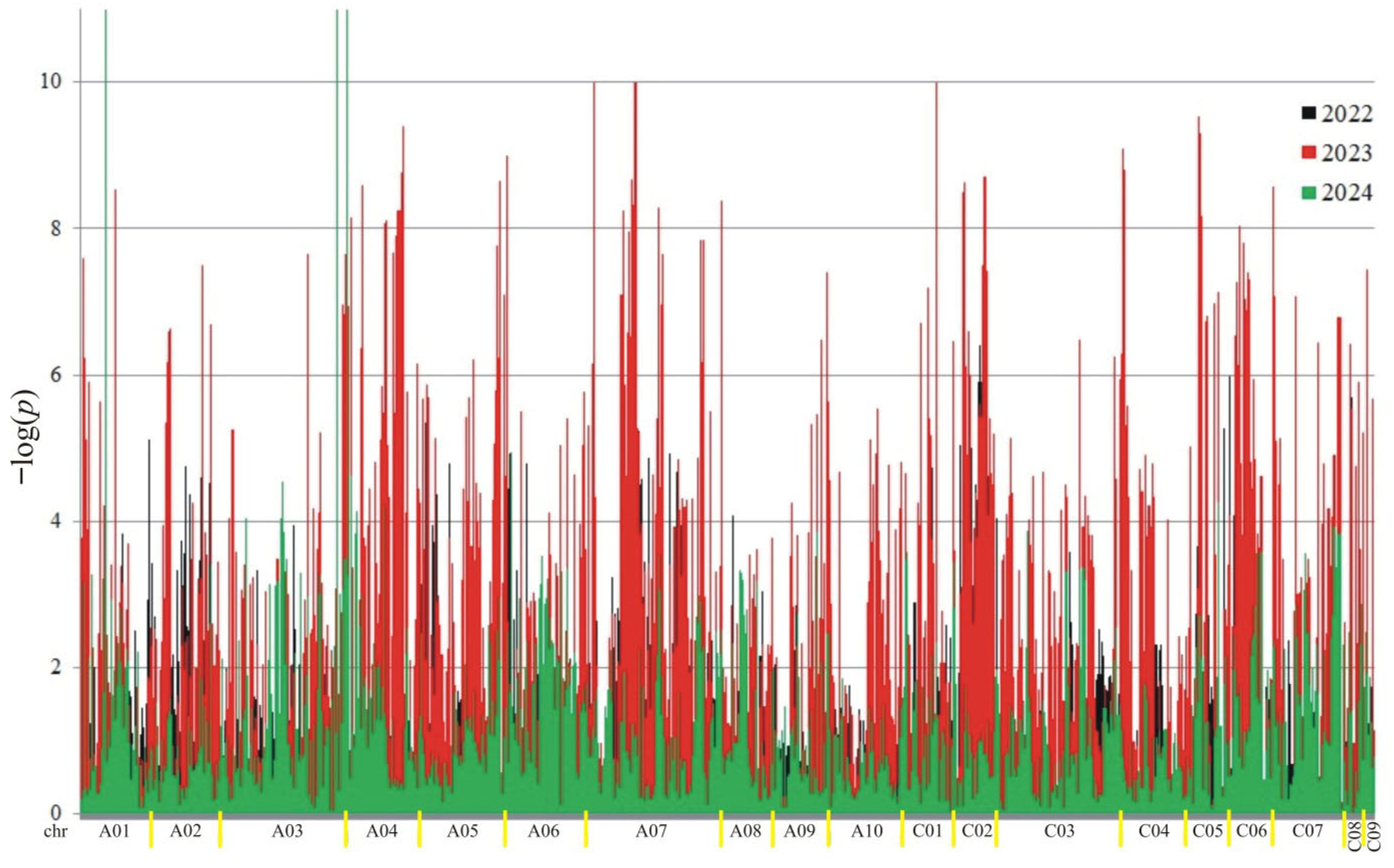 Ijms 26 11931 g002 Ijms 26 11931 g002