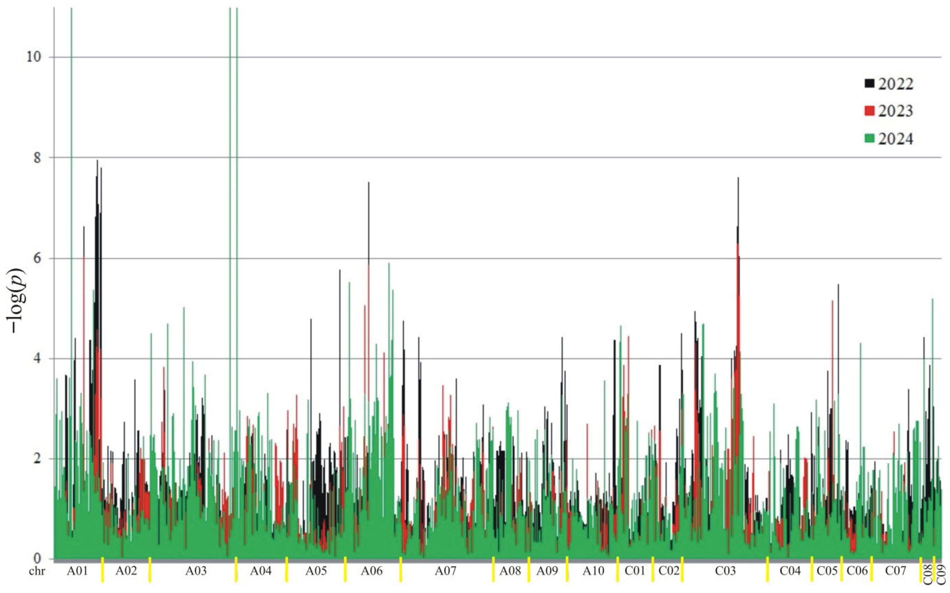 Ijms 26 11931 g003 Ijms 26 11931 g003